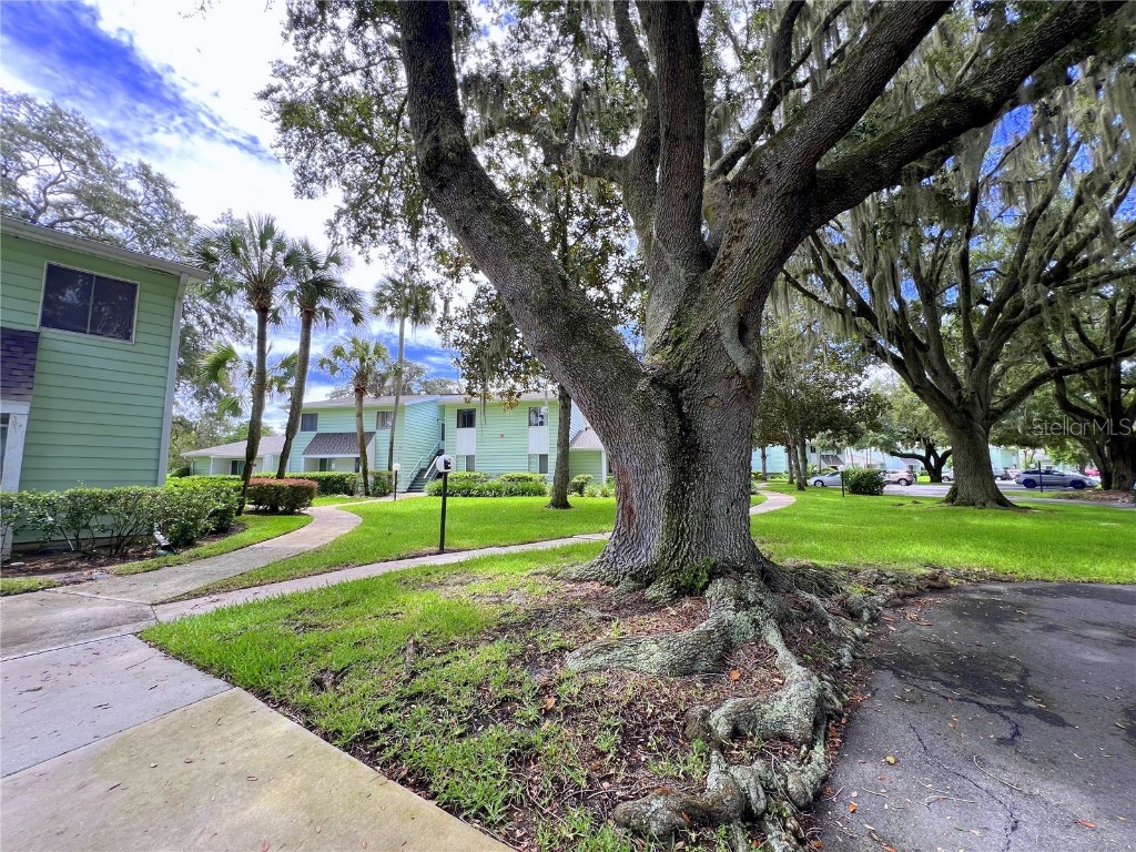 560 Midway Drive #BLD E UNIT 560B Ocala FL 34472 OM705191 image15