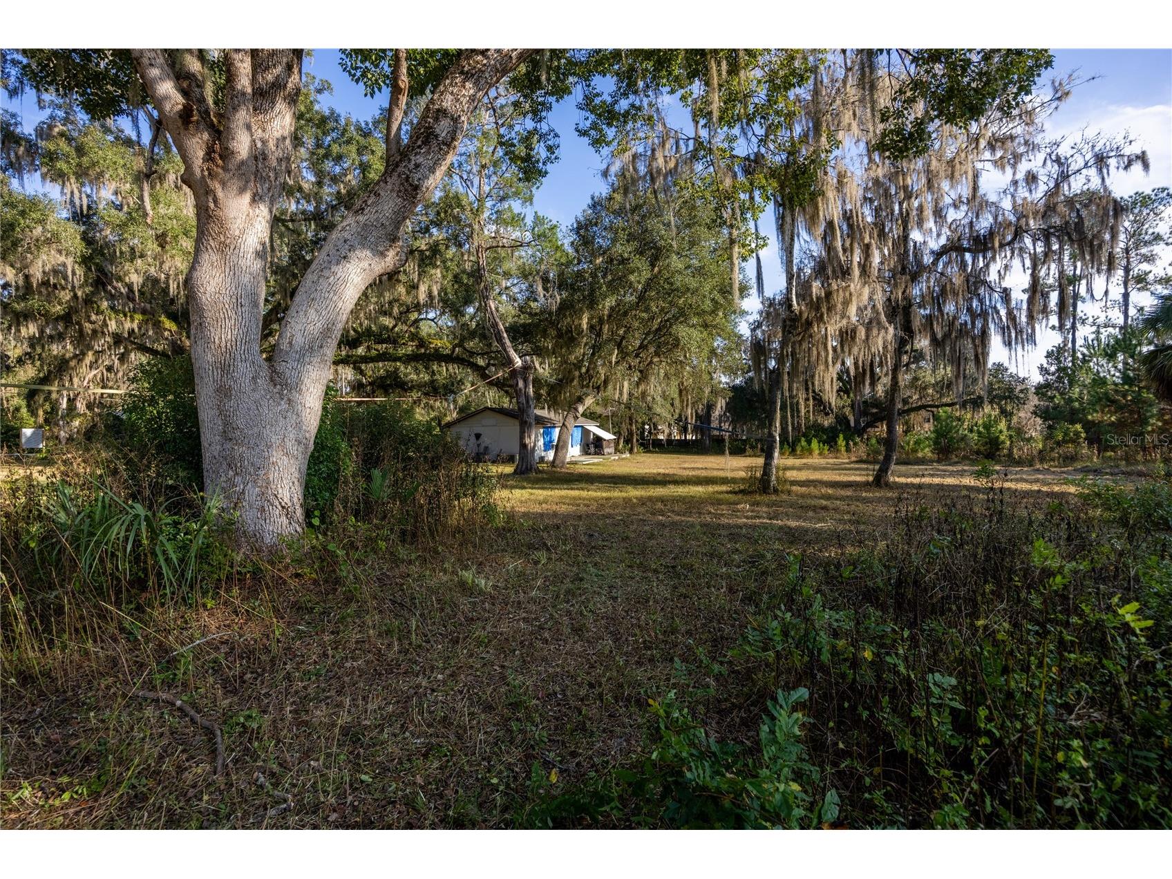 560 NW 39th Road Gainesville FL 32607 GC536664 image7