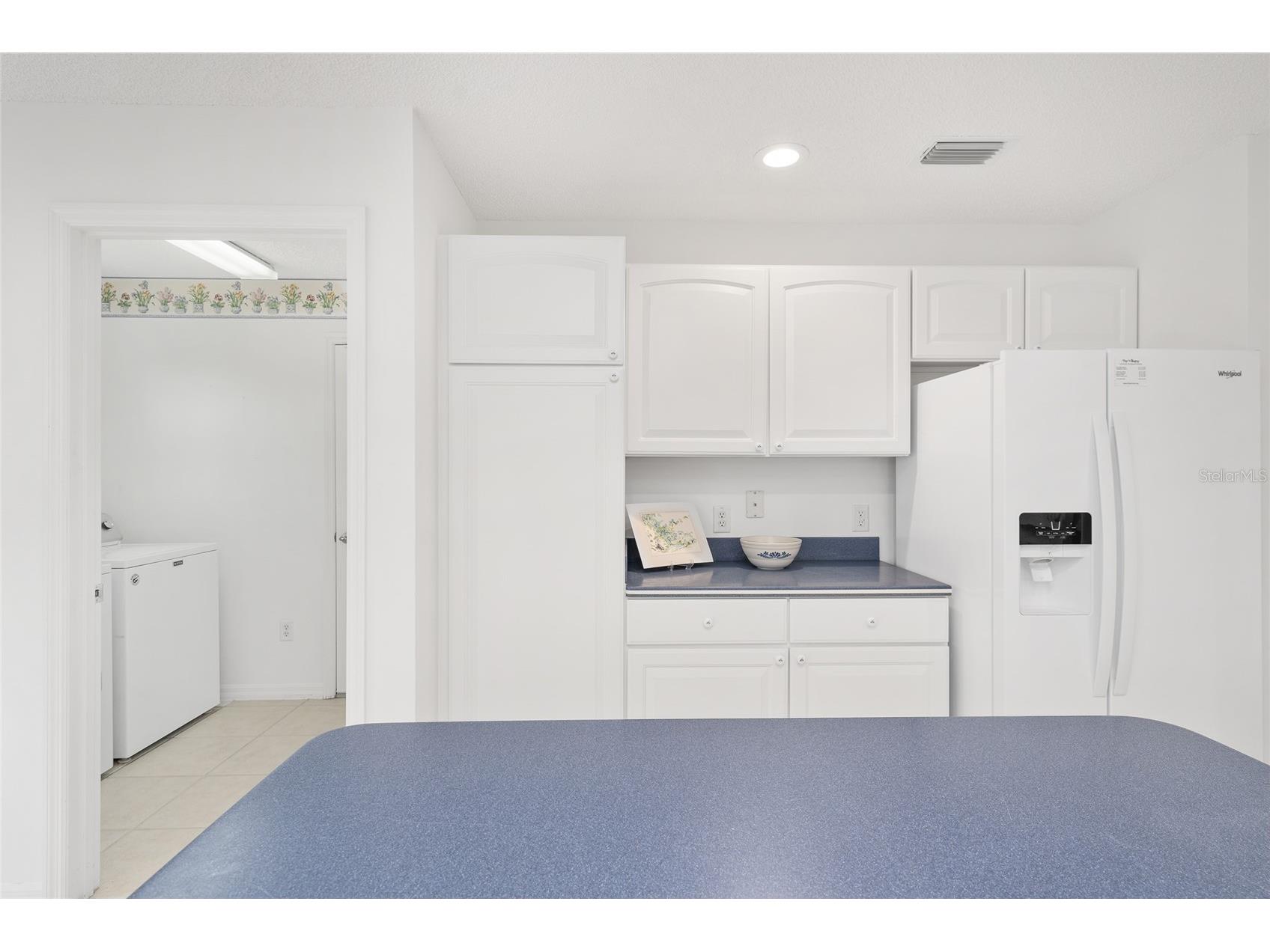 560 Smithfield Place The Villages FL 32162 G5104431 image29