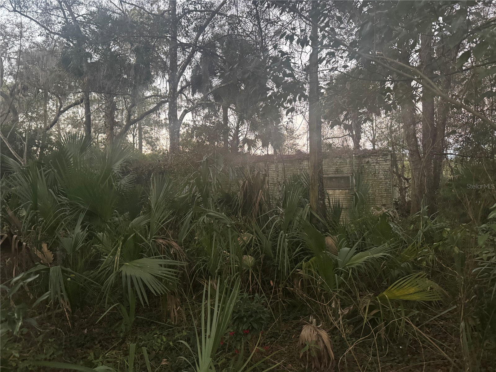 5600 NE 165th Terrace Road Silver Springs FL 34488 TB8470545 image1