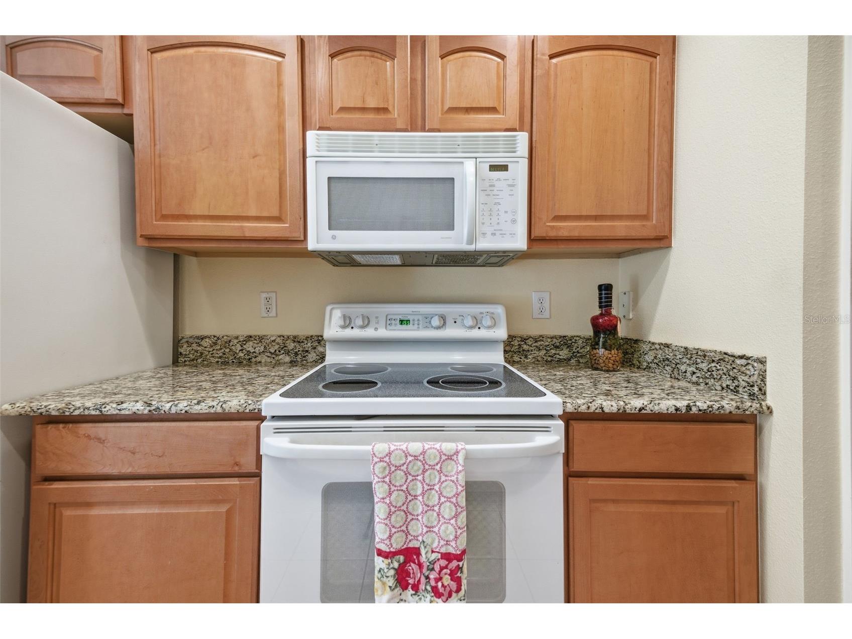 5600 Sir Barton Court Wesley Chapel FL 33544 TB8512897 image15