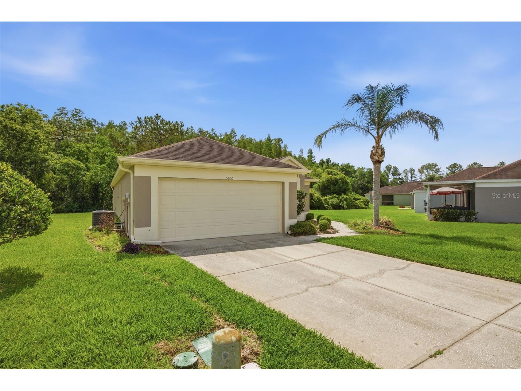 5600 Sir Barton Court Wesley Chapel FL 33544 TB8512897 image3