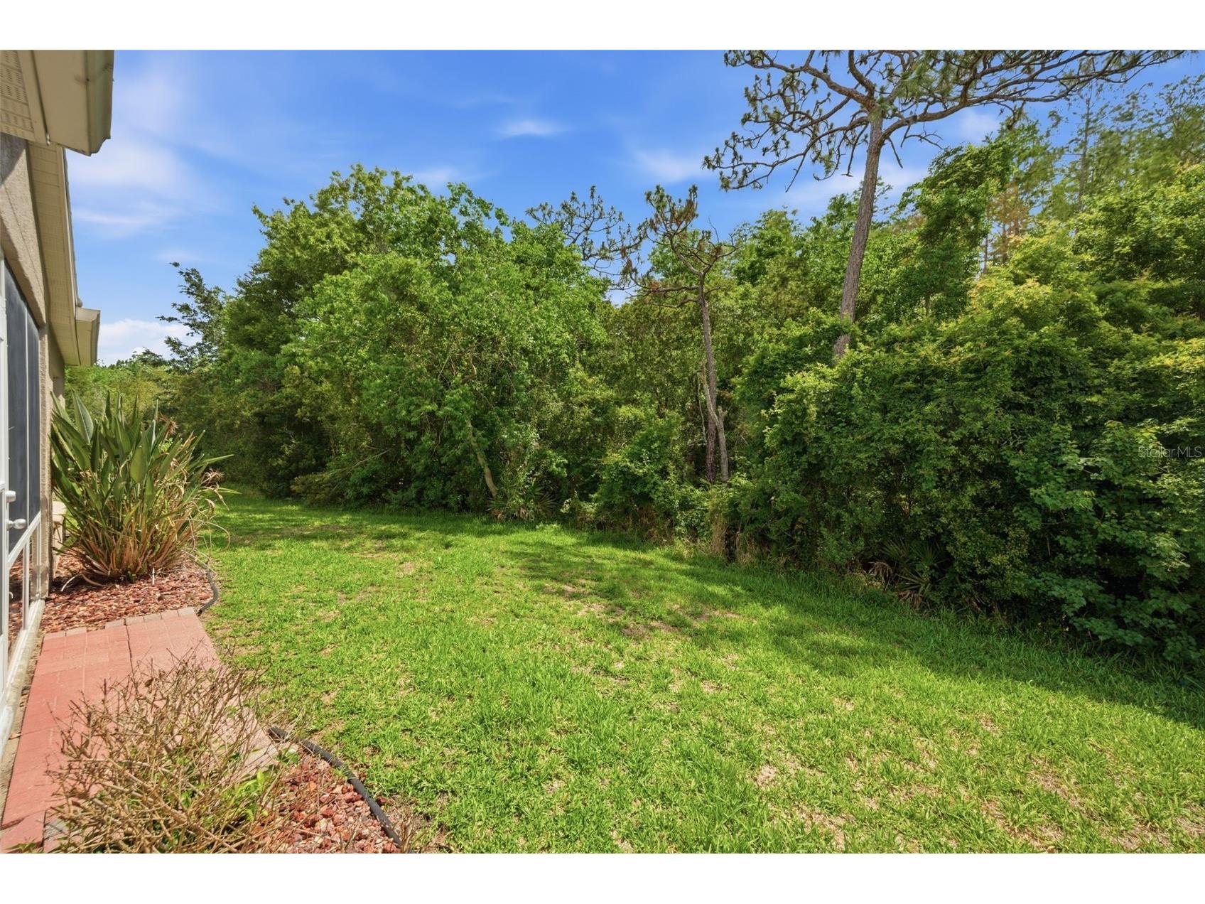 5600 Sir Barton Court Wesley Chapel FL 33544 TB8512897 image41