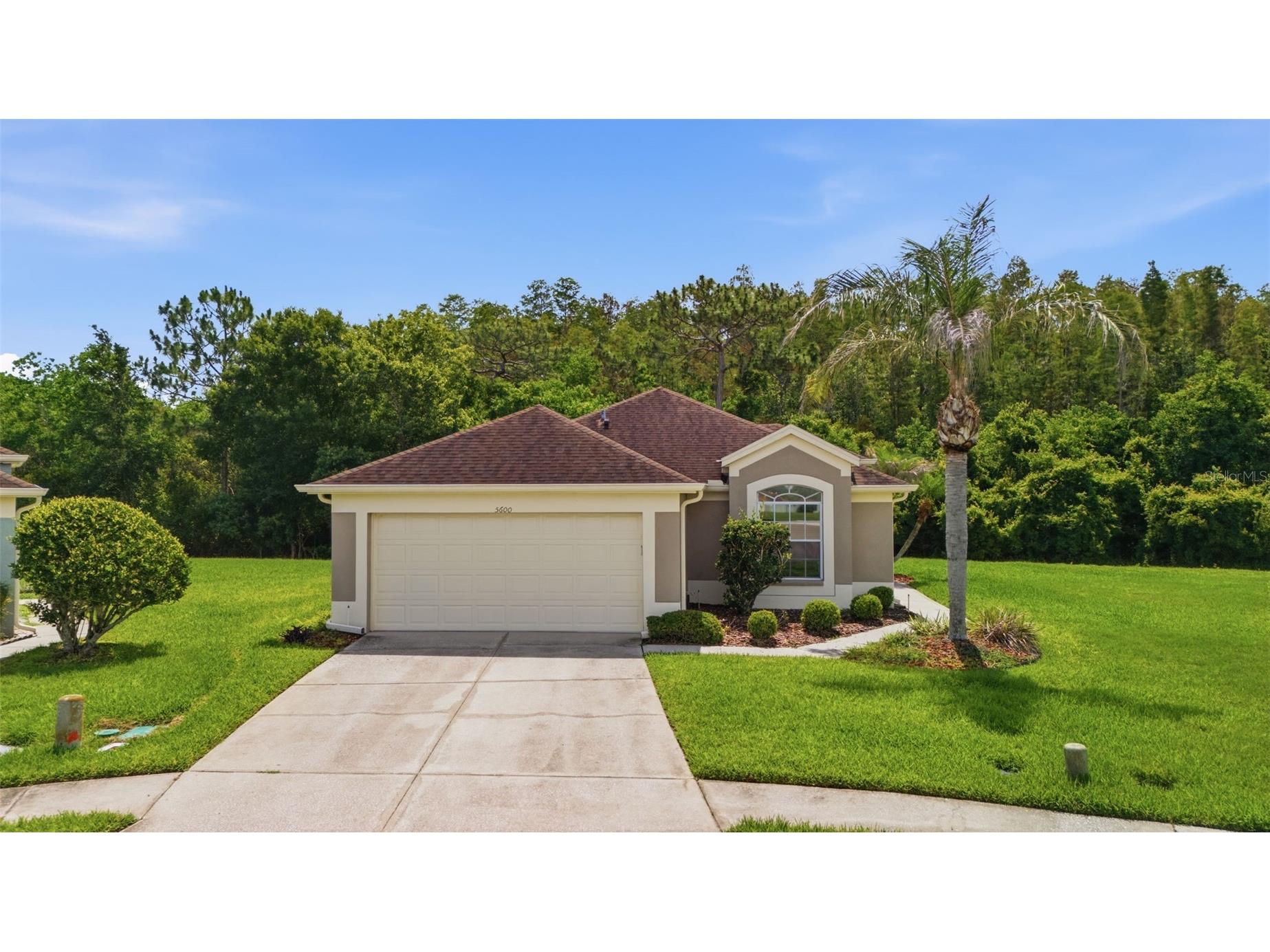 5600 Sir Barton Court Wesley Chapel FL 33544 TB8512897 image42