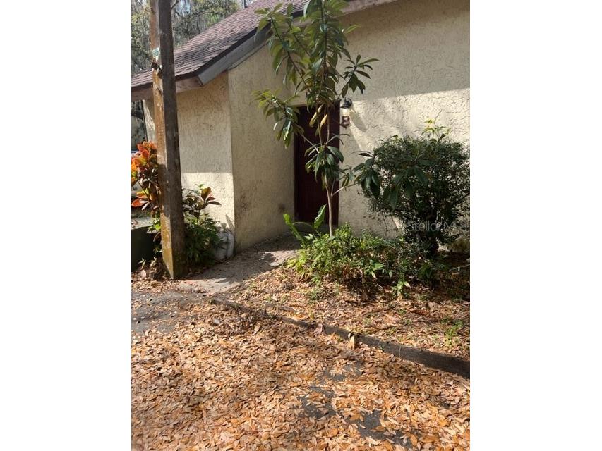 5601 Ashley Oaks Drive #8 Tampa FL 33617 T3431219 image1