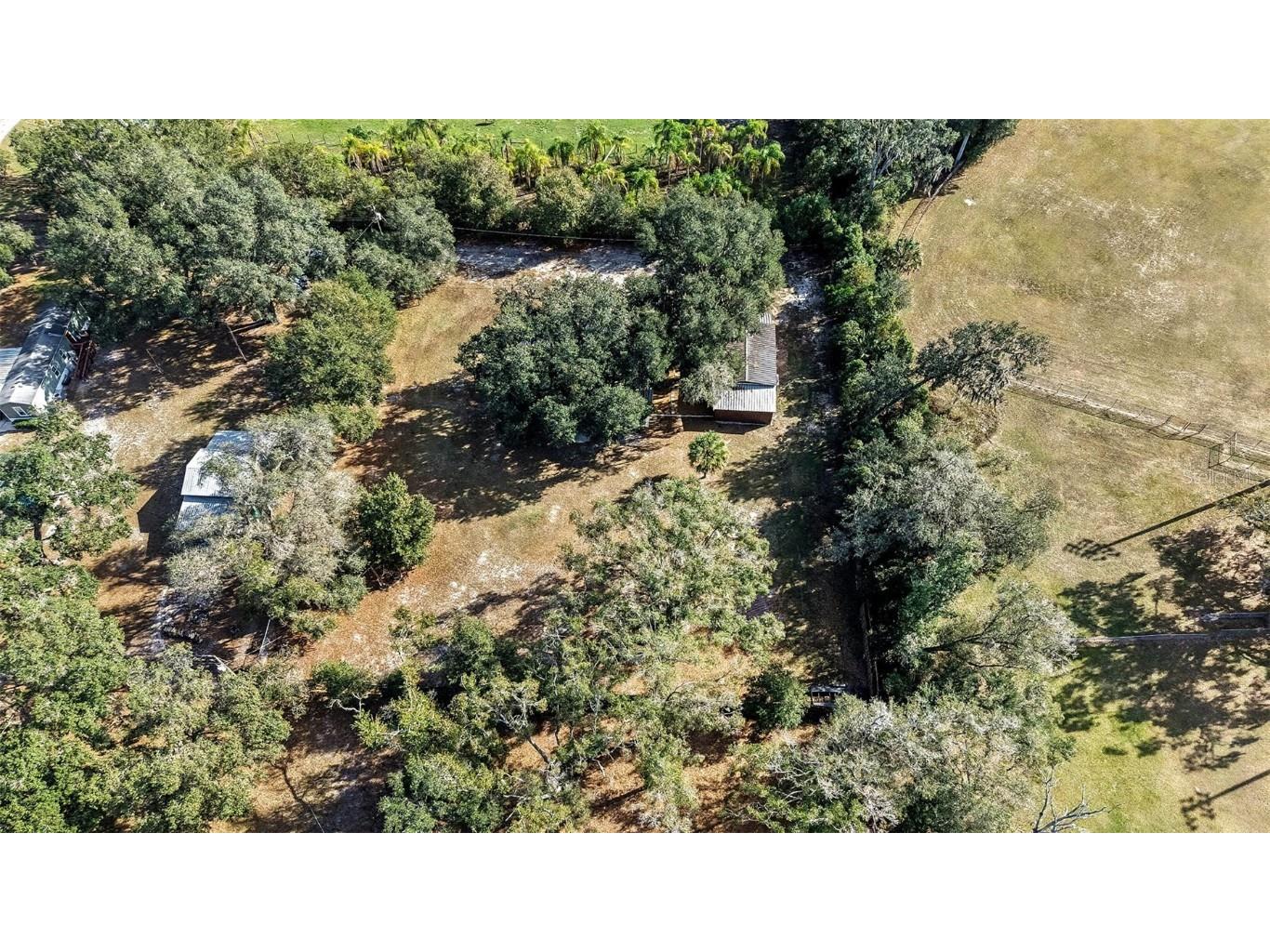 5601 Joyce Sheffield Lane Plant City FL 33565 TB8455034 image28