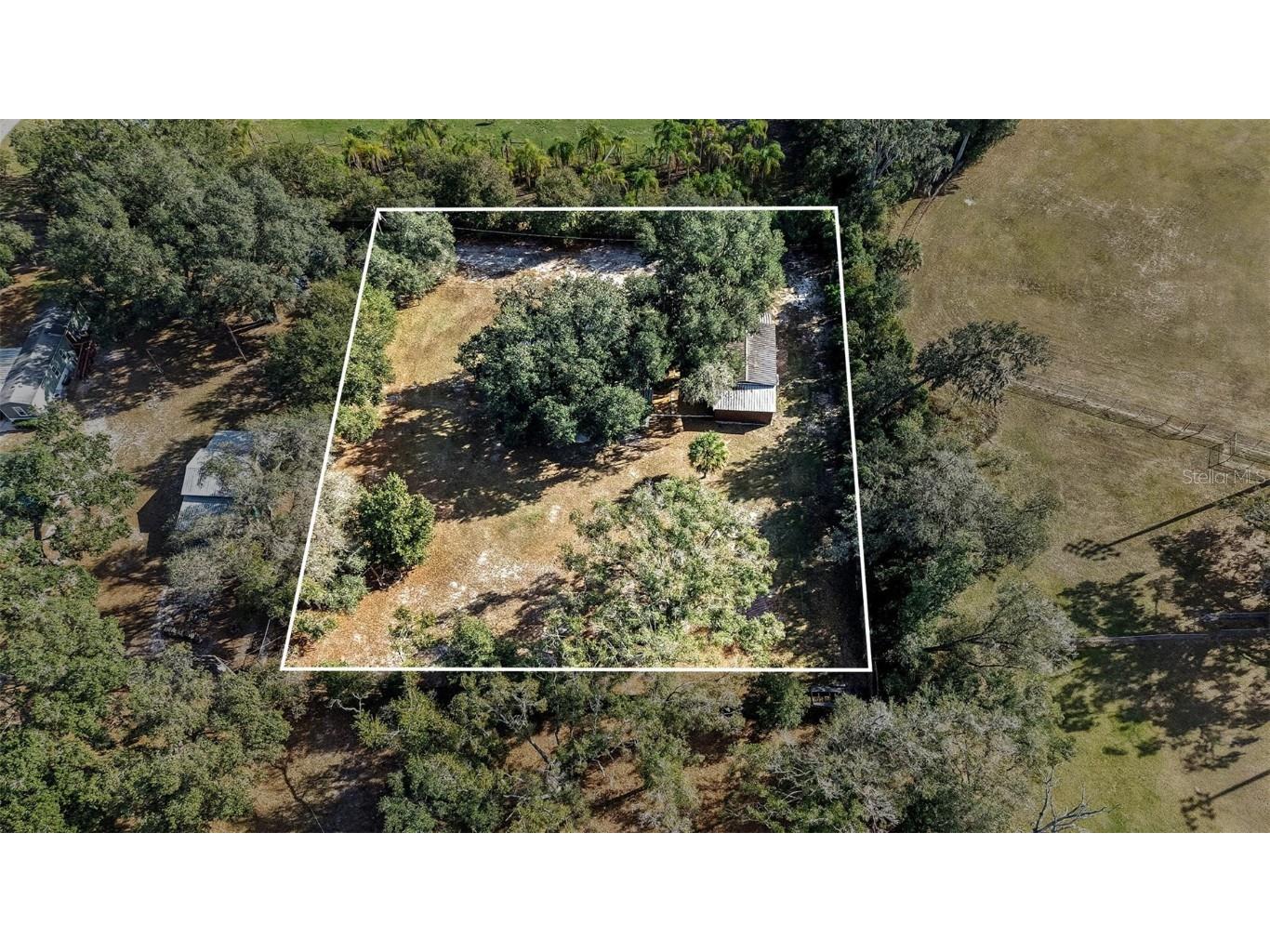 5601 Joyce Sheffield Lane Plant City FL 33565 TB8455034 image31