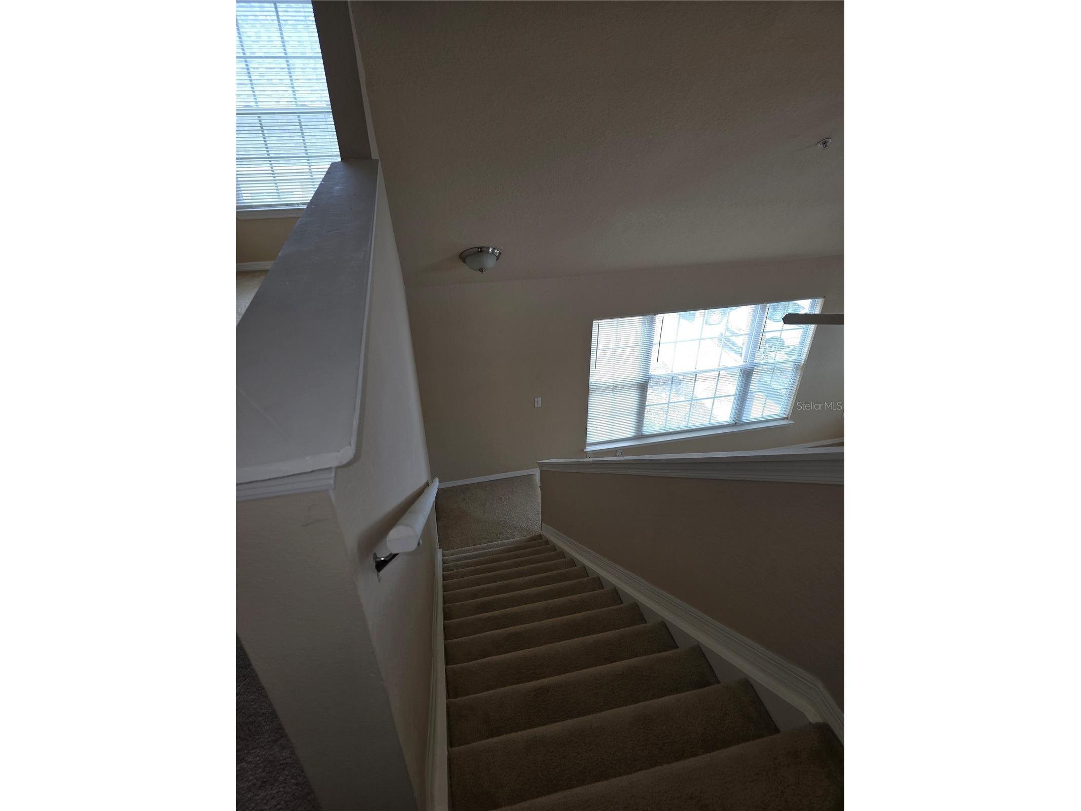 5601 Rosehill Road #203 Sarasota FL 34233 A4694731 image22