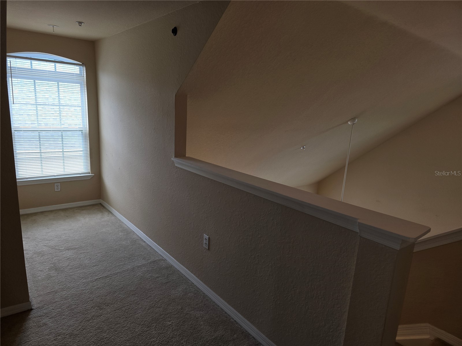 5601 Rosehill Road #203 Sarasota FL 34233 A4694731 image9
