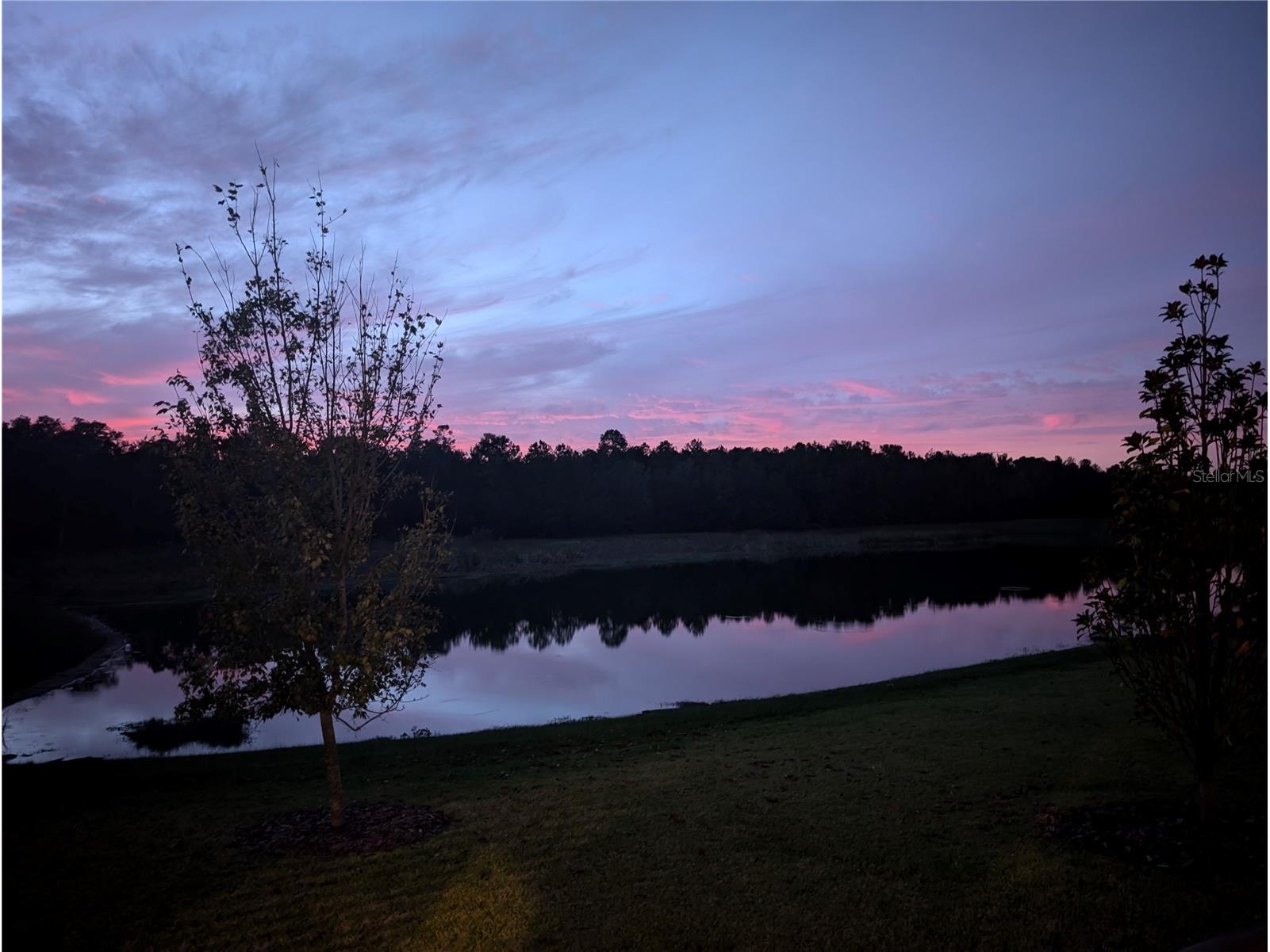 5601 Summit View Drive Brooksville FL 34601 TB8494749 image14