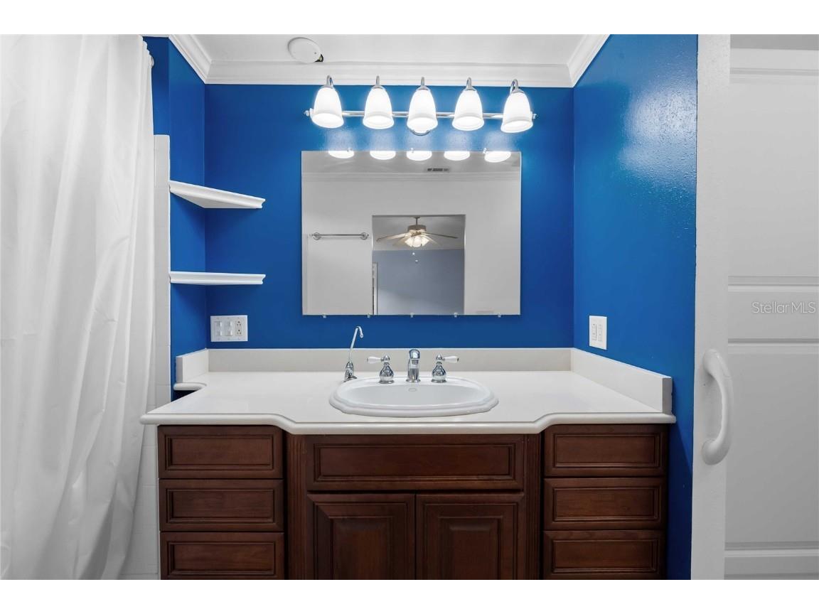 5602 Dakota Street Zephyrhills FL 33542 TB8431410 image21