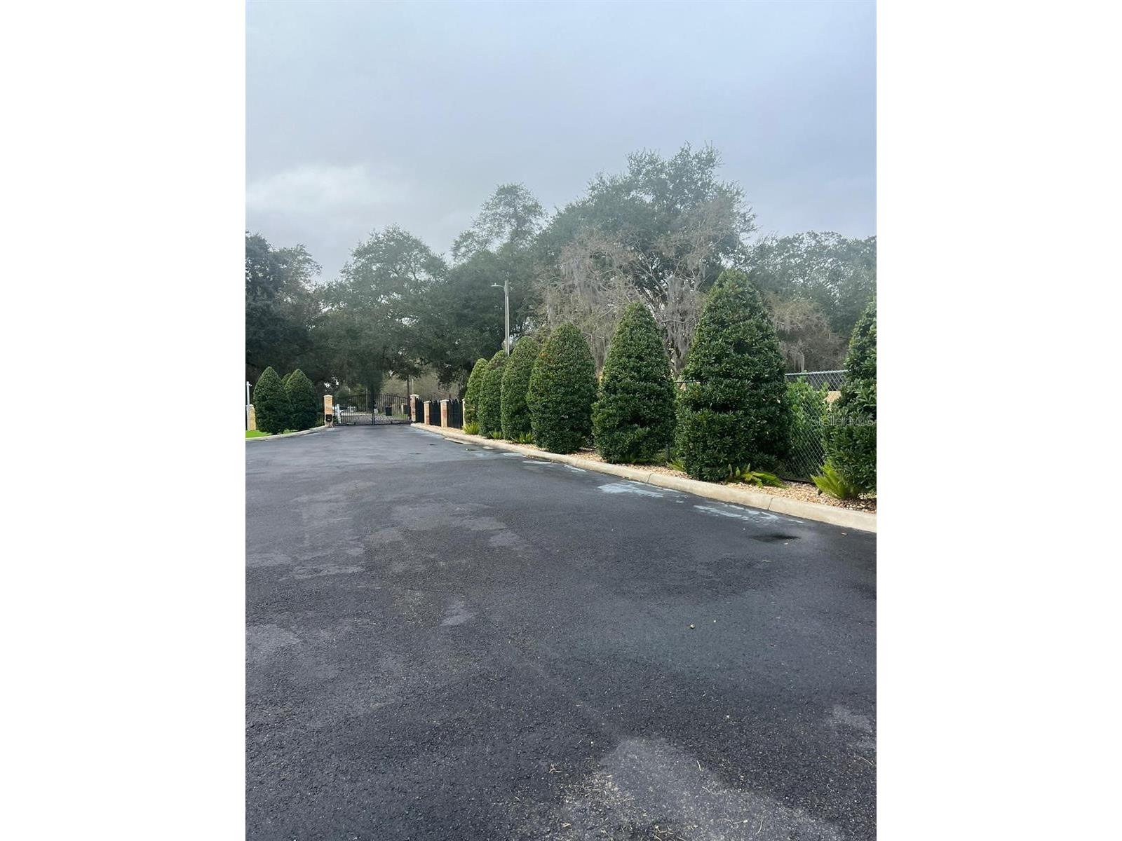 5602 Joyner Road Tampa FL 33624 TB8506363 image27