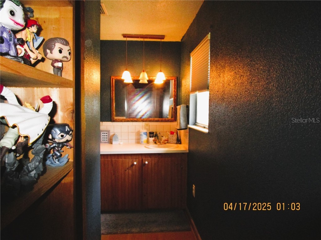 5602 N Dormany Road Plant City FL 33565 TB8377973 image16