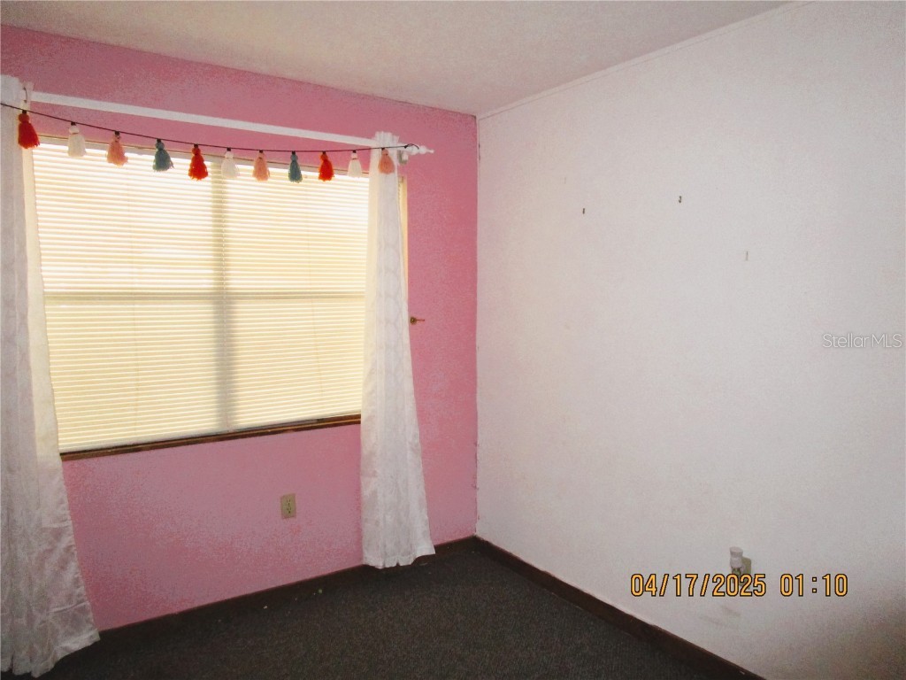 5602 N Dormany Road Plant City FL 33565 TB8377973 image20