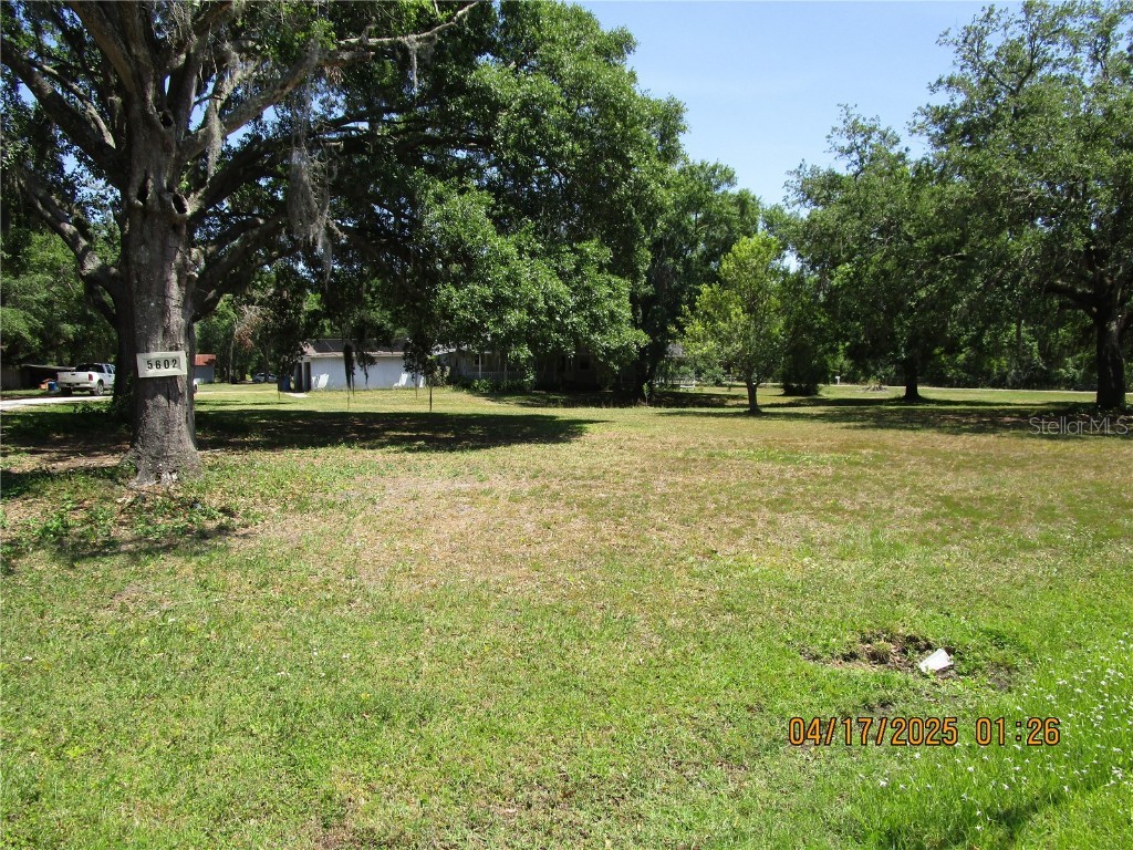 5602 N Dormany Road Plant City FL 33565 TB8377973 image34