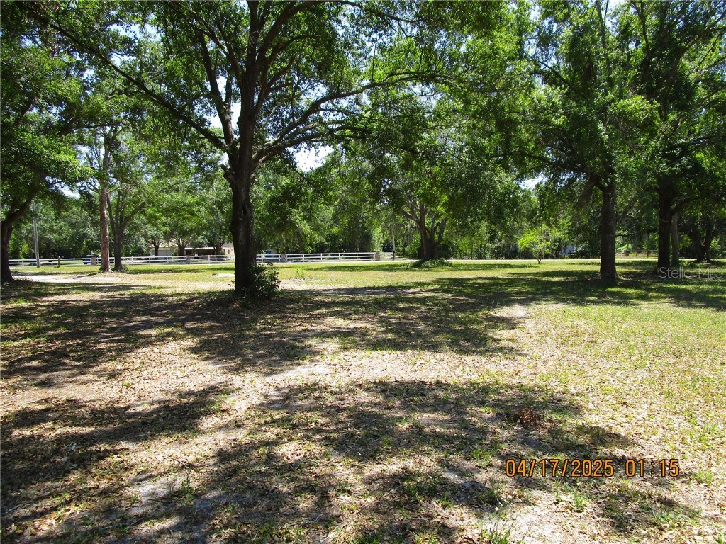 5602 N Dormany Road Plant City FL 33565 TB8377973 image41