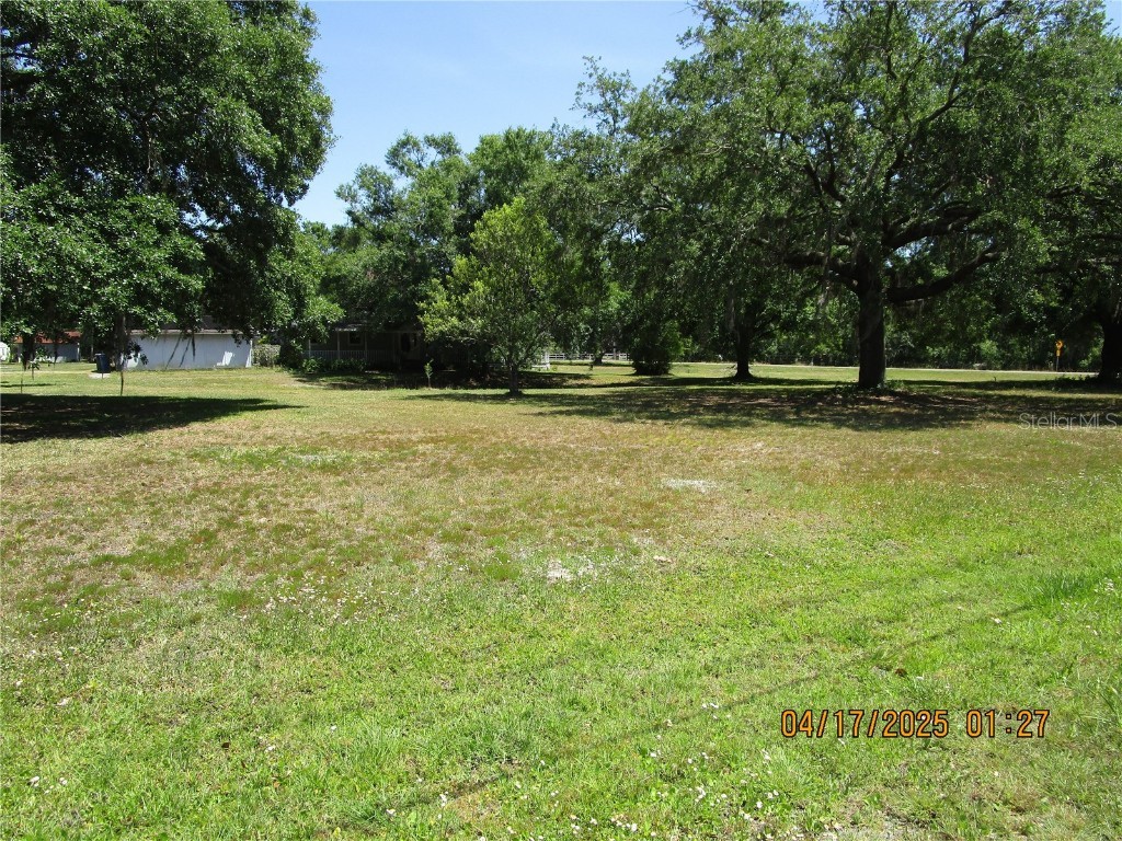 5602 N Dormany Road Plant City FL 33565 TB8377973 image42