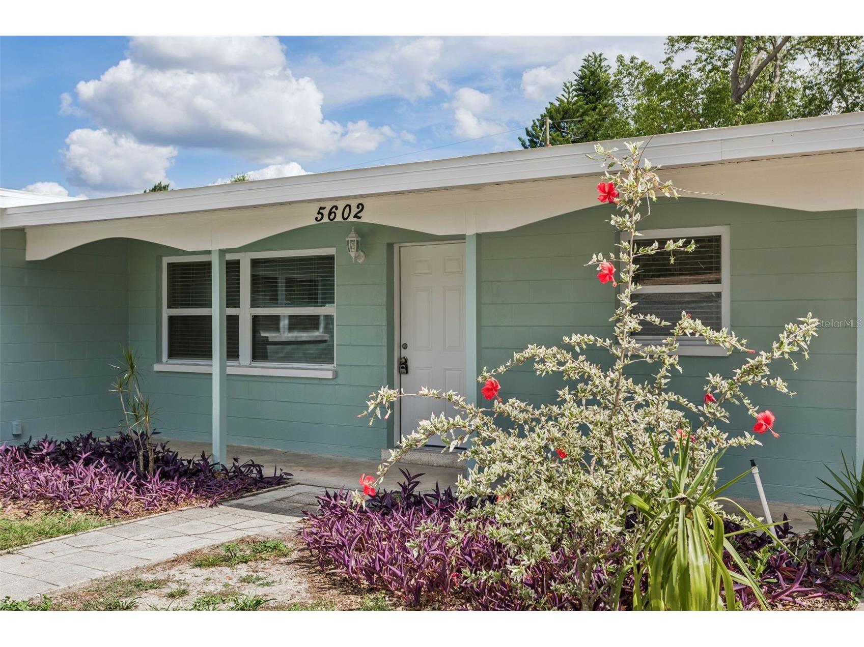 5602 Oceanic Road Holiday FL 34690 W7886372 image3
