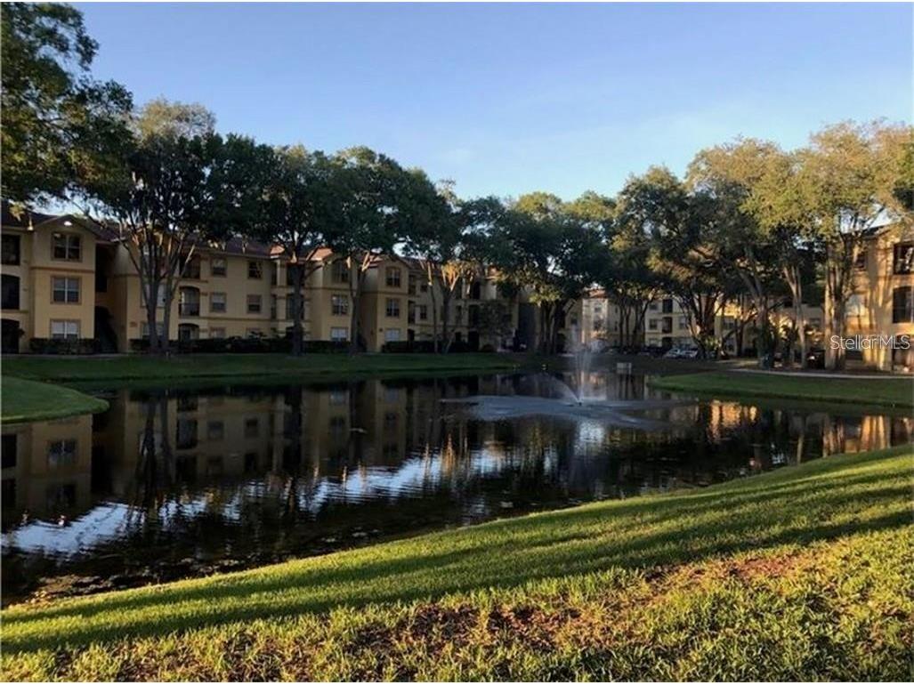 5602 Pinnacle Heights Circle #111 Tampa FL 33624 TB8520094 image3