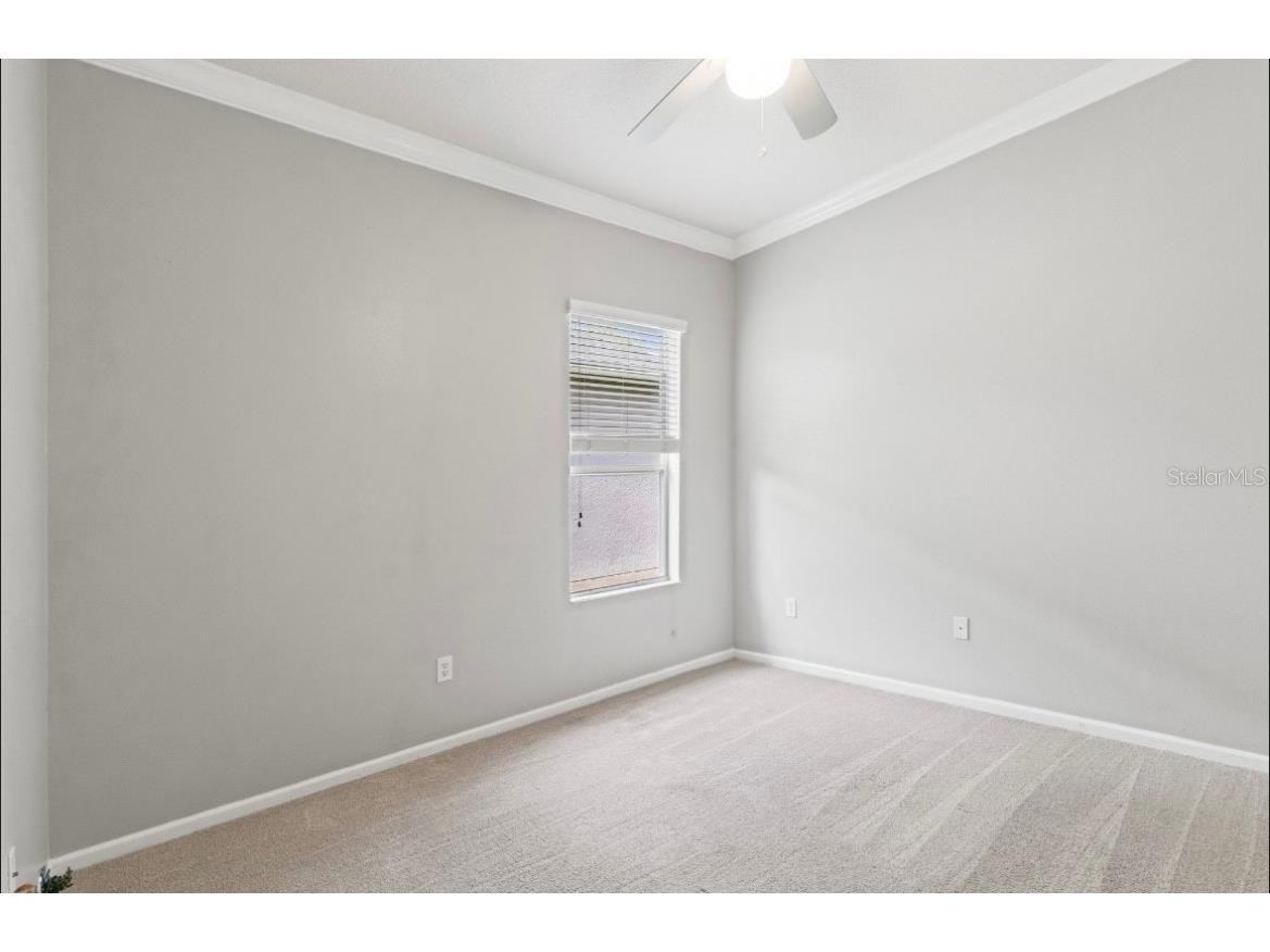 5602 Riva Ridge Drive Wesley Chapel FL 33544 TB8437655 image21