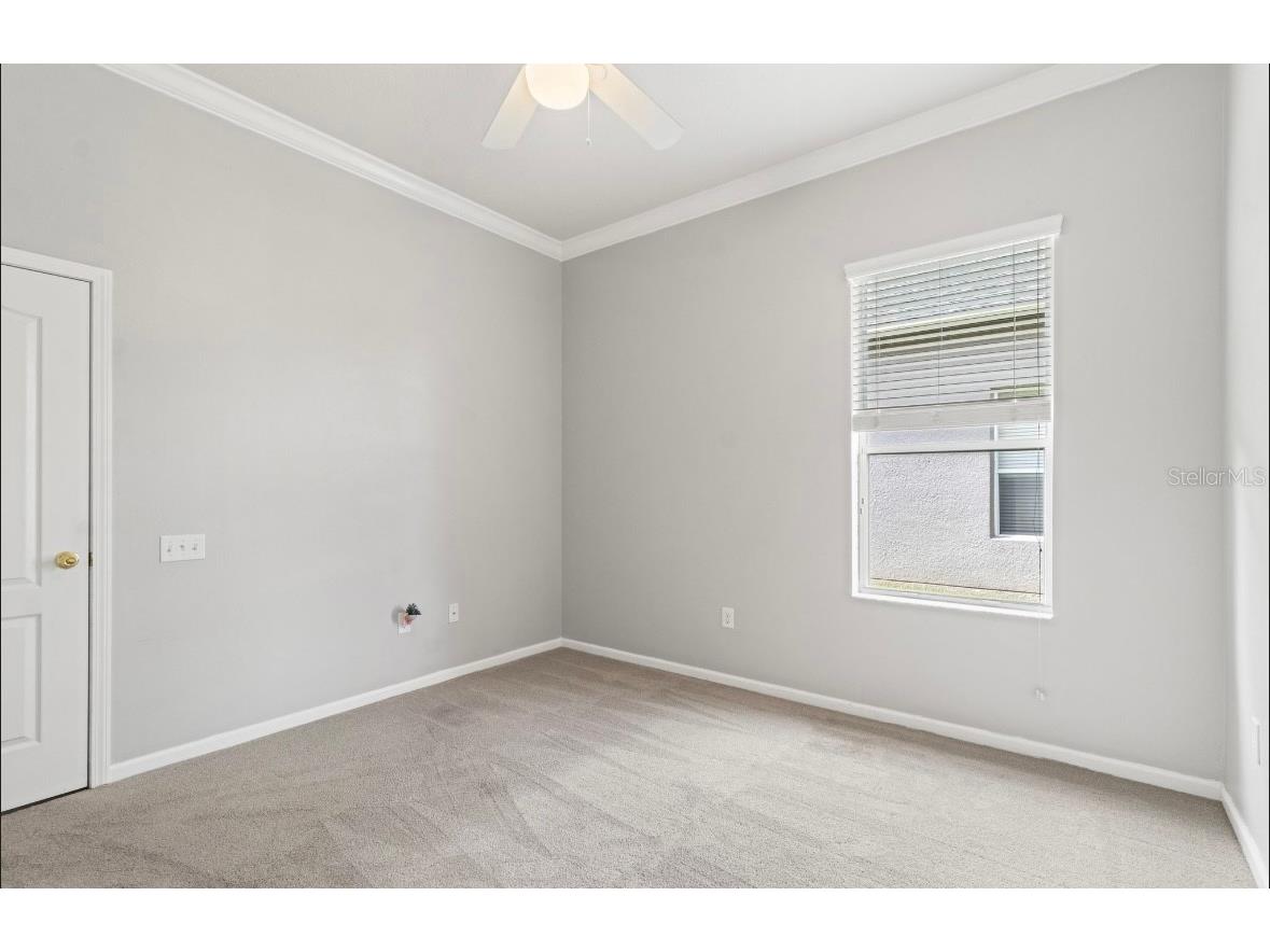 5602 Riva Ridge Drive Wesley Chapel FL 33544 TB8437655 image22