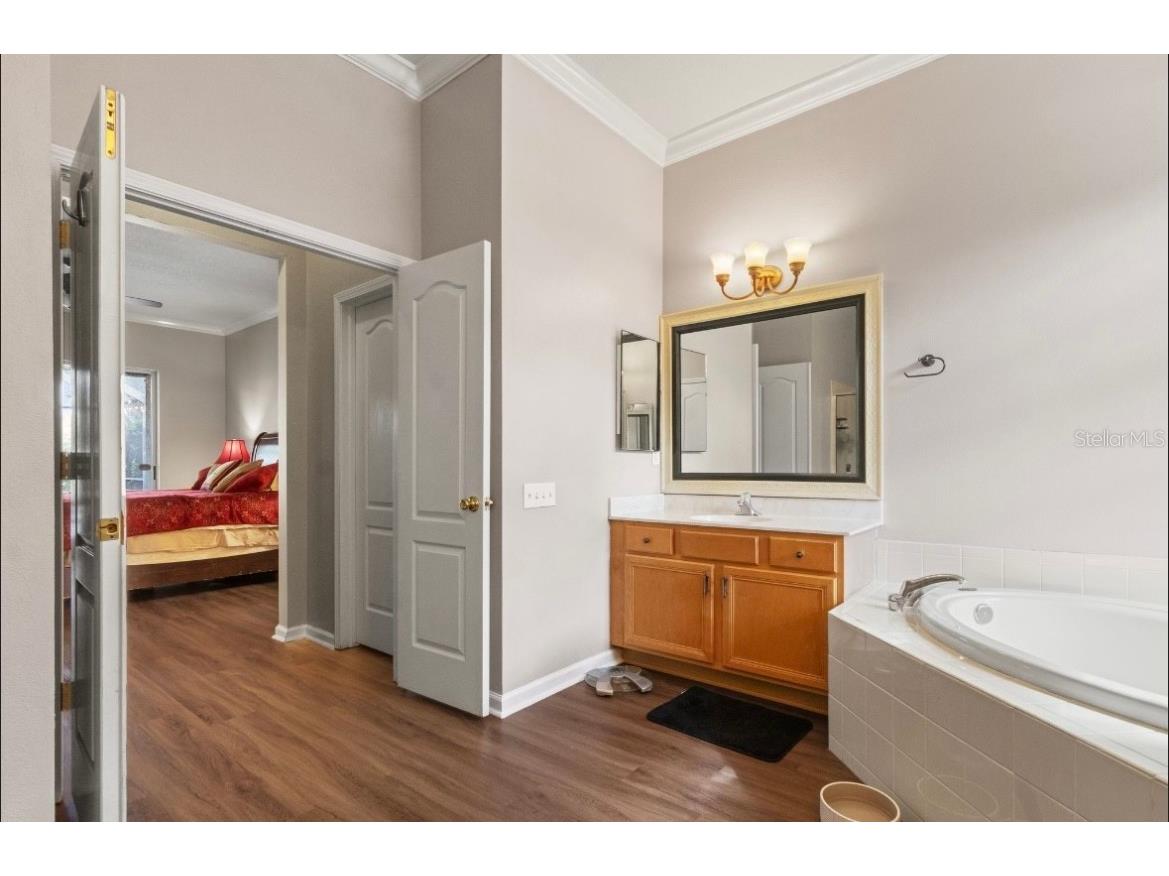 5602 Riva Ridge Drive Wesley Chapel FL 33544 TB8437655 image30