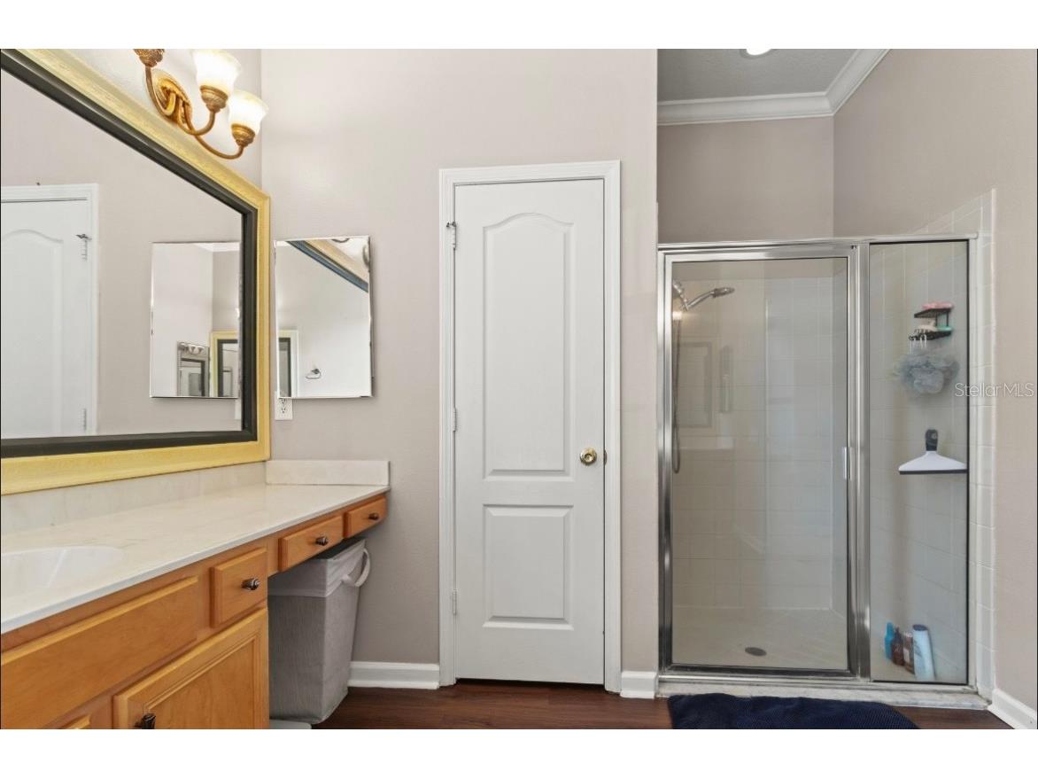 5602 Riva Ridge Drive Wesley Chapel FL 33544 TB8437655 image31