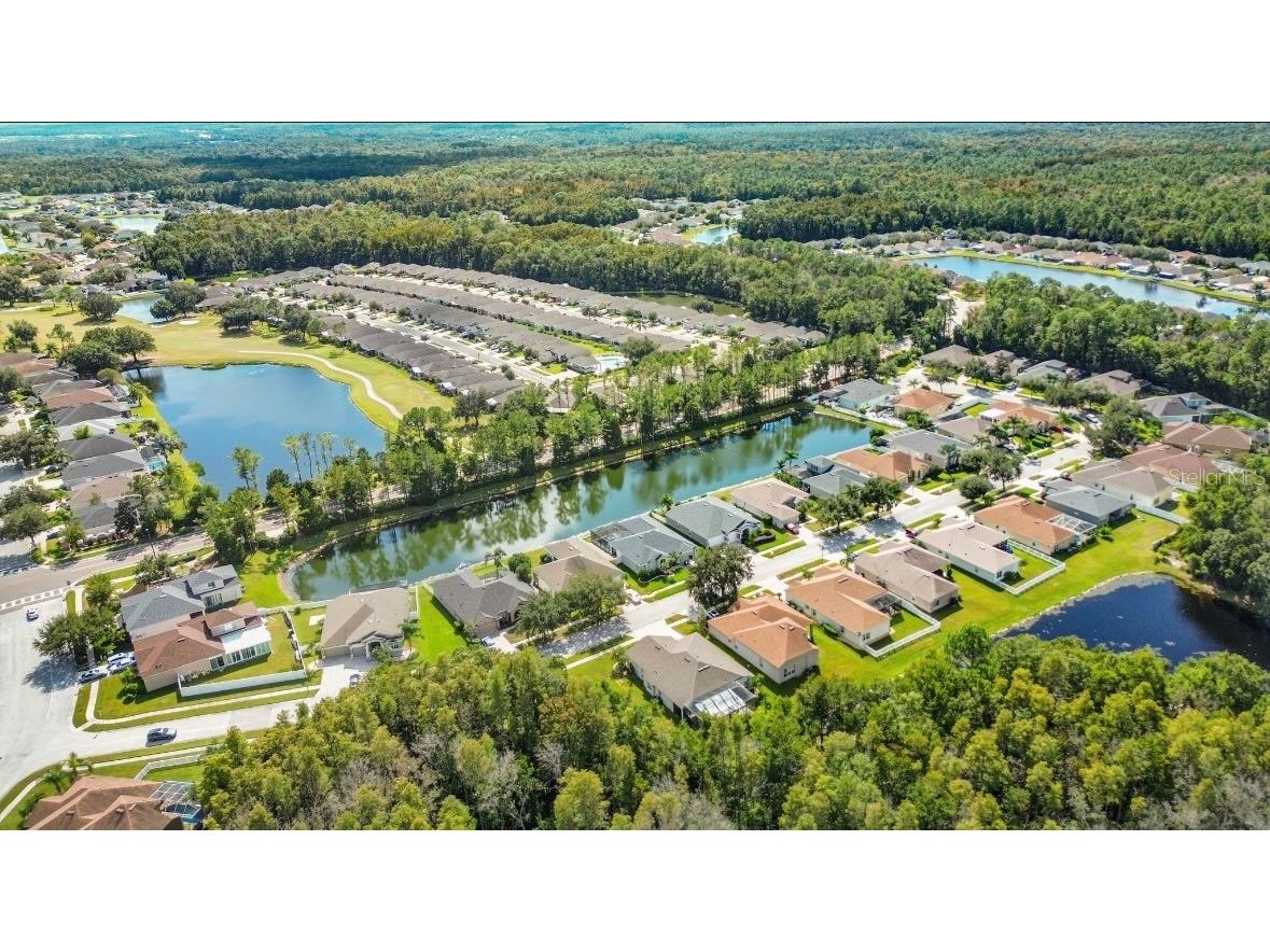 5602 Riva Ridge Drive Wesley Chapel FL 33544 TB8437655 image45