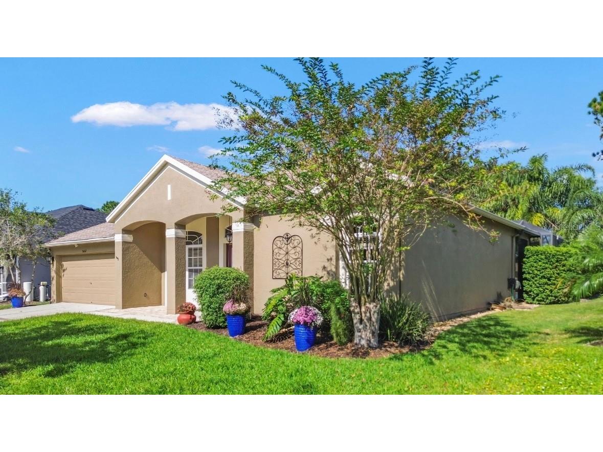 5602 Riva Ridge Drive Wesley Chapel FL 33544 TB8437655 image5