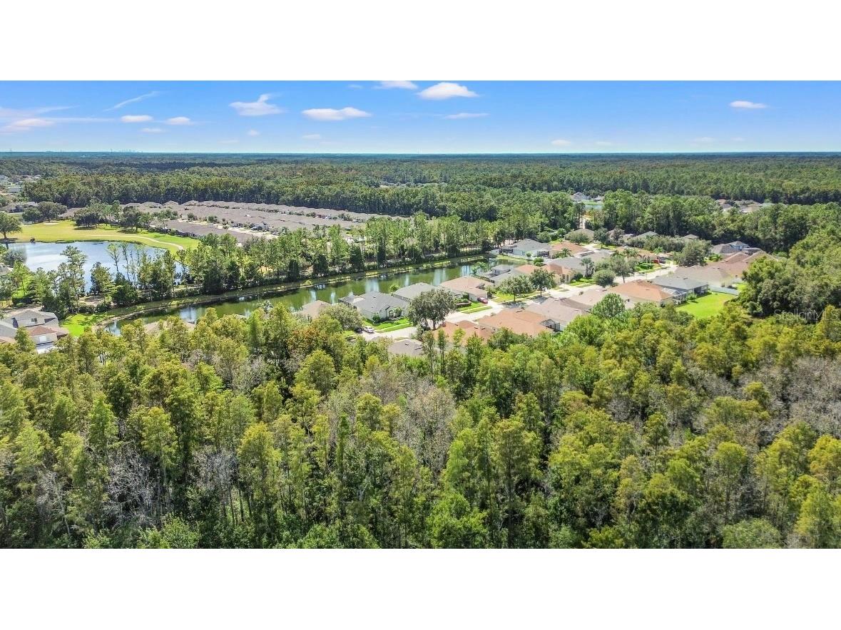 5602 Riva Ridge Drive Wesley Chapel FL 33544 TB8437655 image53