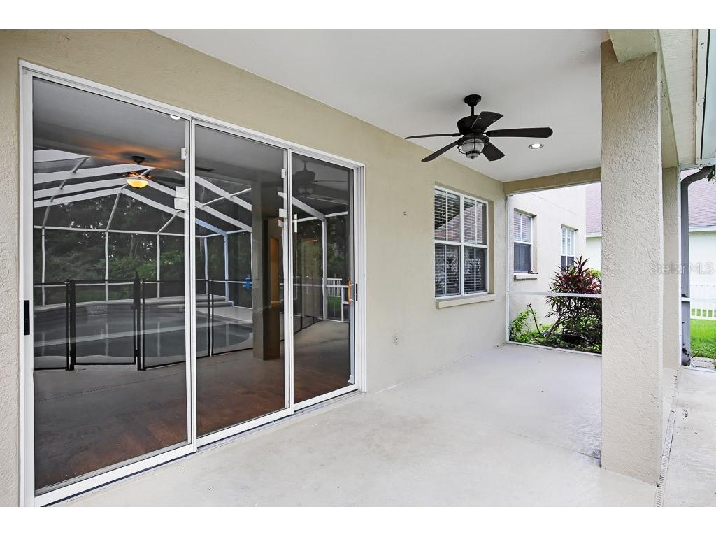 5602 Shady Creek Court Valrico FL 33596 TB8520844 image36