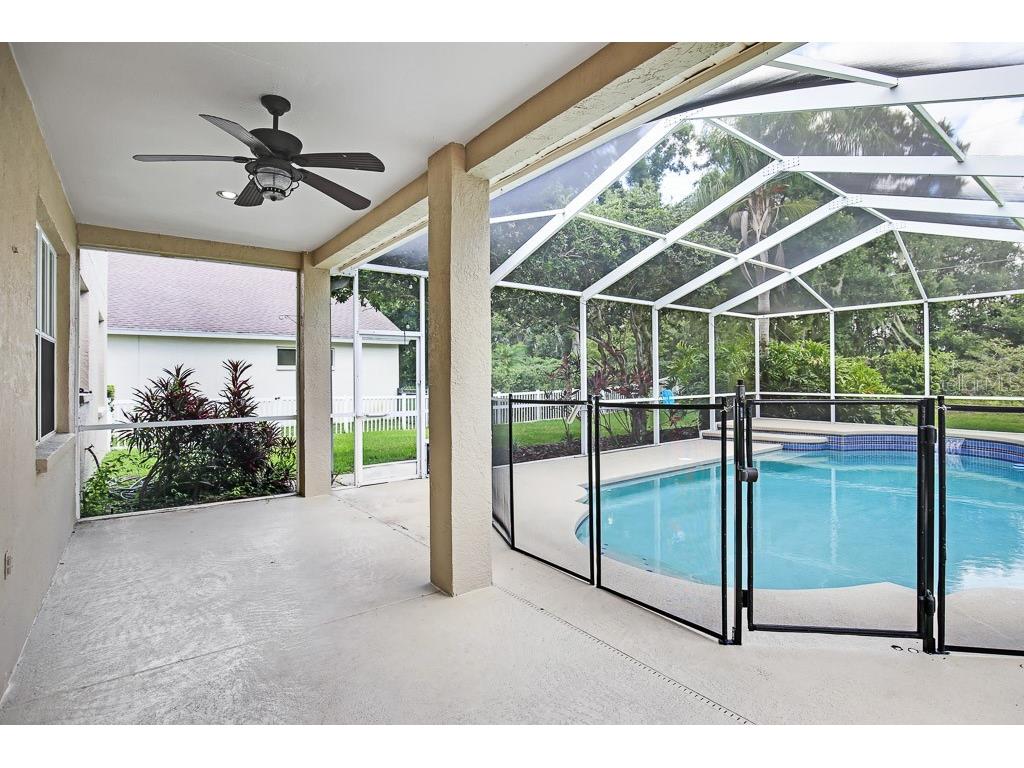 5602 Shady Creek Court Valrico FL 33596 TB8520844 image37