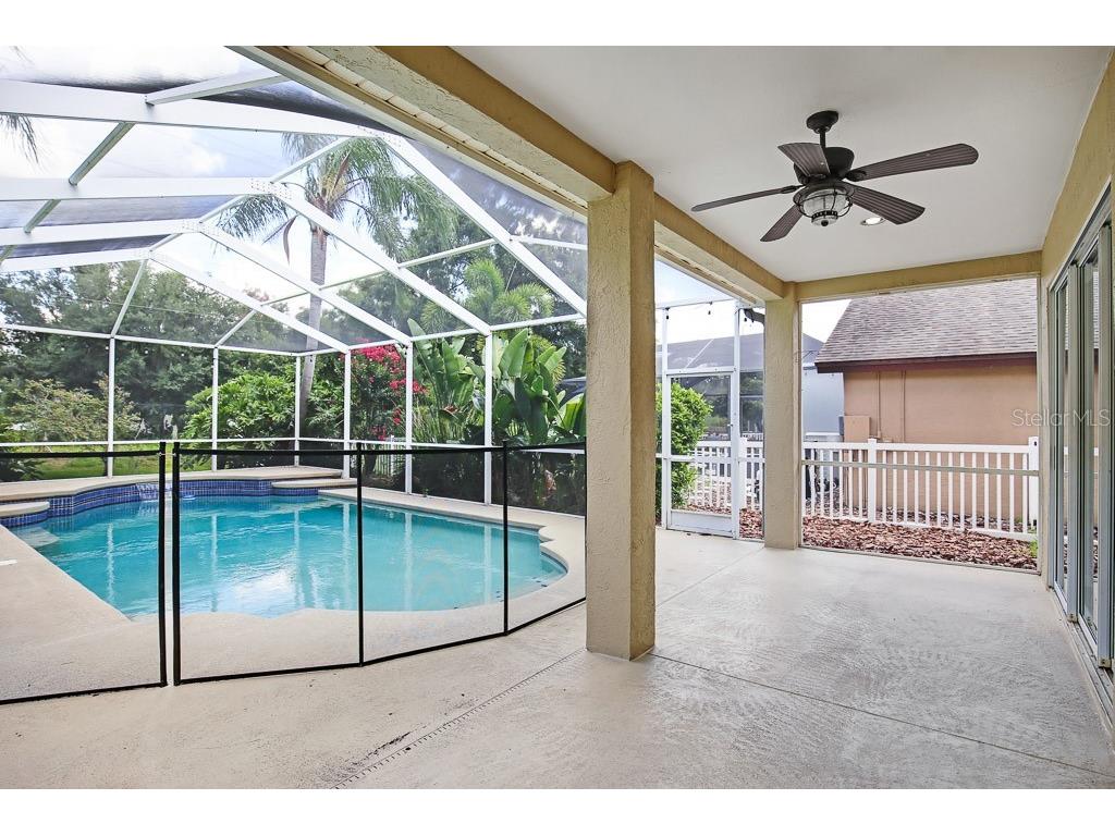 5602 Shady Creek Court Valrico FL 33596 TB8520844 image39