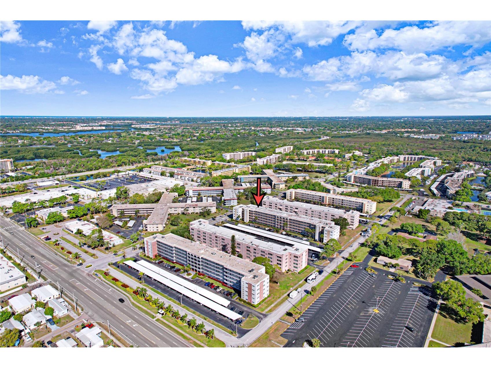 5603 80th Street N #303 Saint Petersburg FL 33709 A4691006 image21
