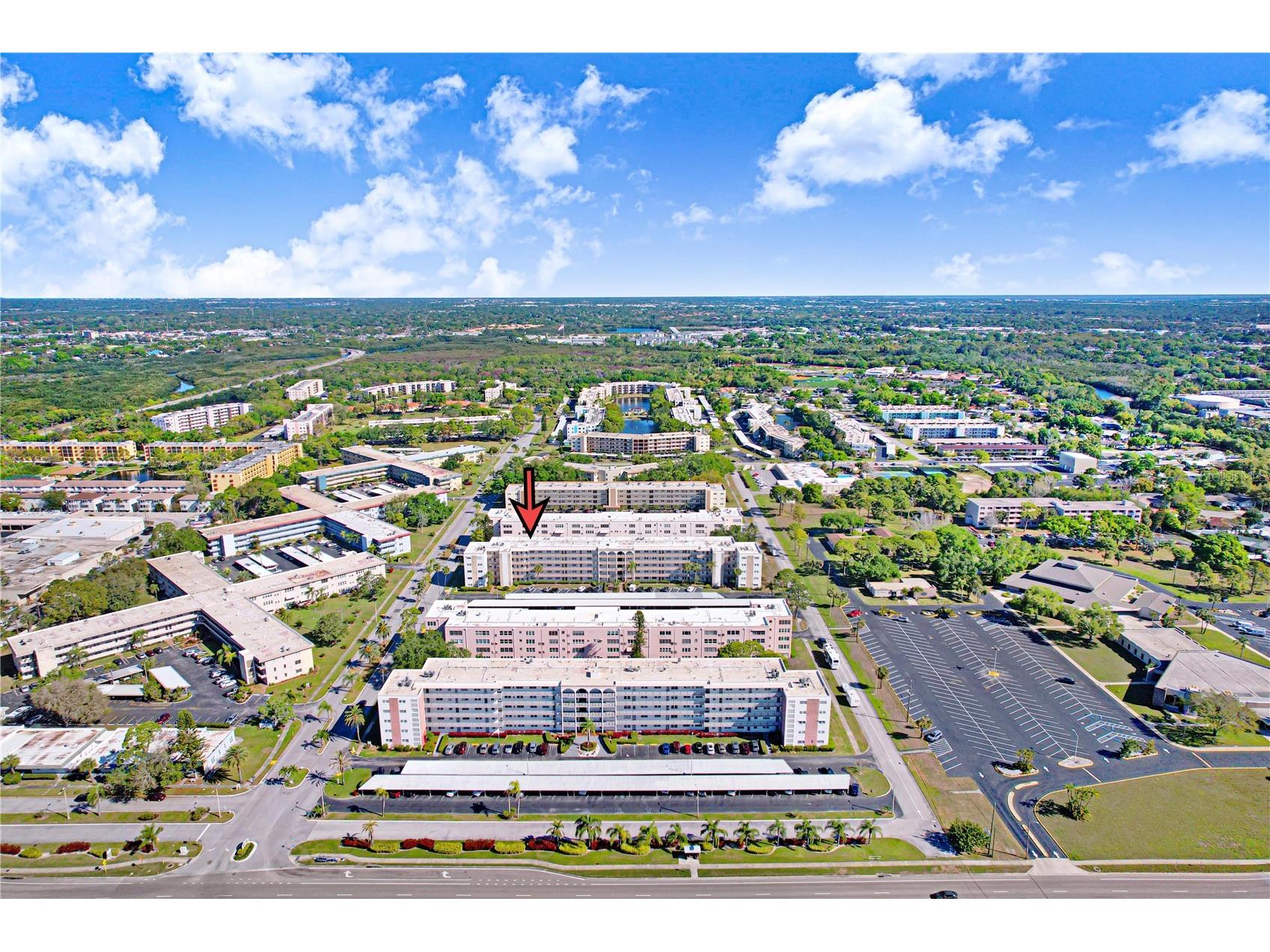 5603 80th Street N #303 Saint Petersburg FL 33709 A4691006 image4