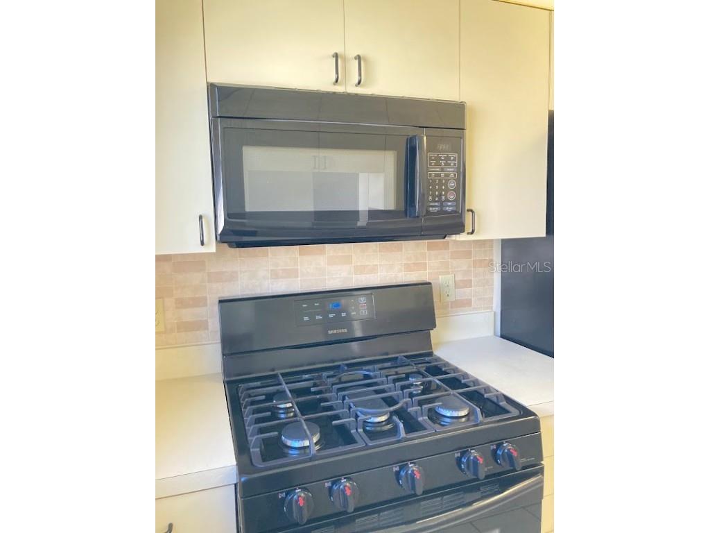 5603 80th Street N #310 Saint Petersburg FL 33709 TB8446039 image8