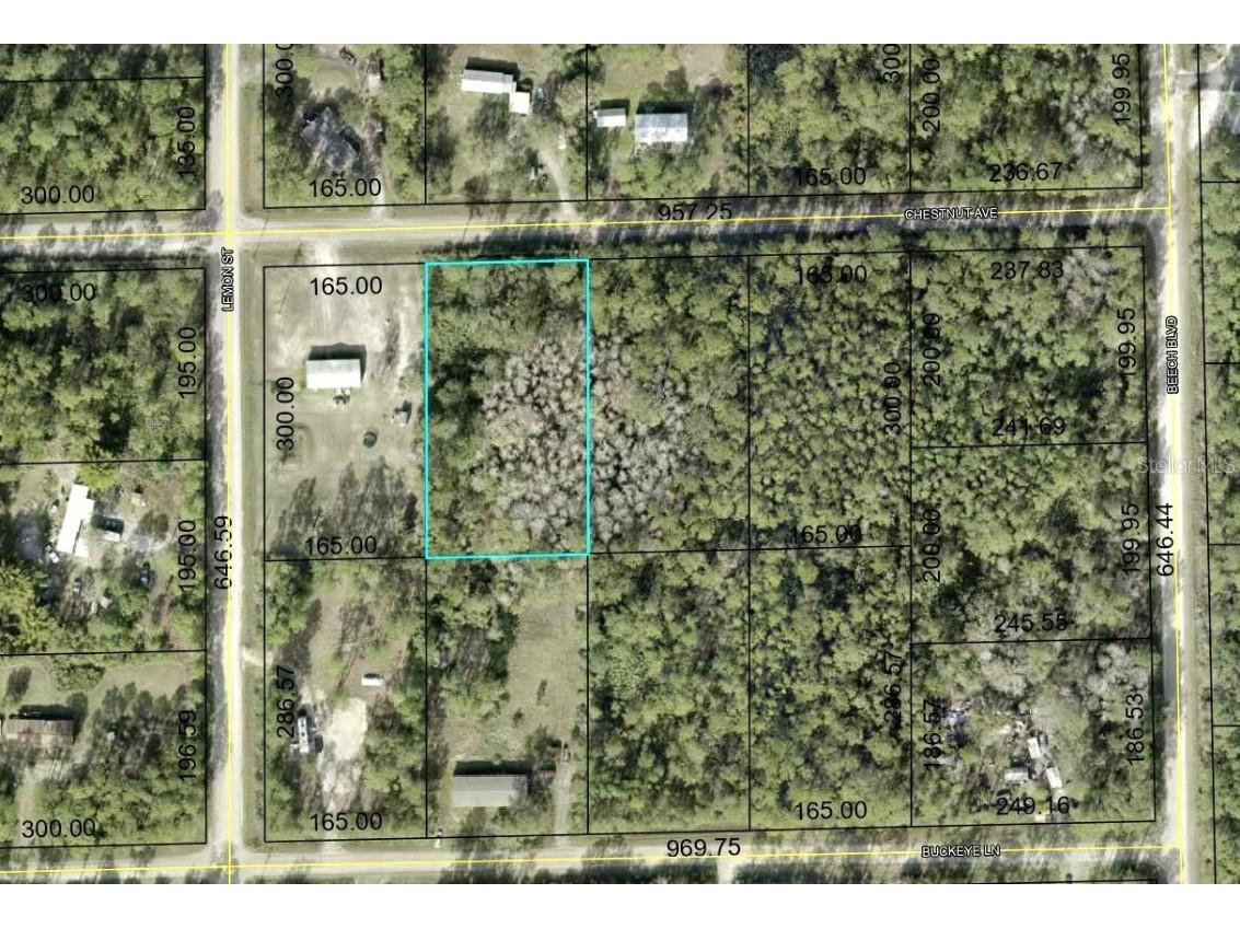 5603 Chestnut Avenue Bunnell FL 32110 FC300959 image1