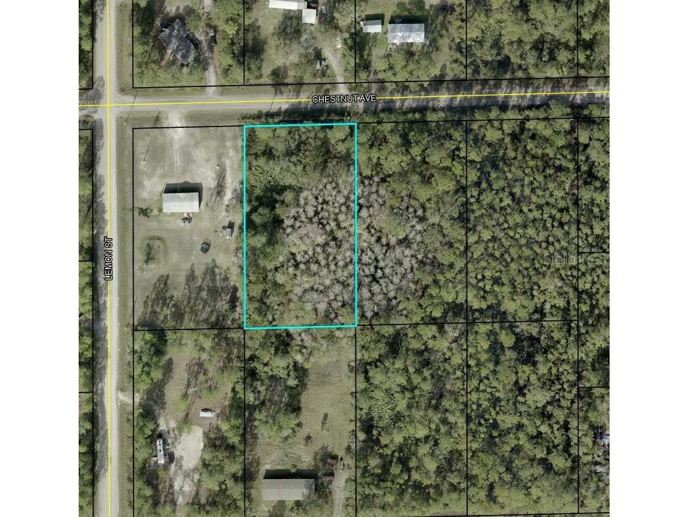 5603 Chestnut Avenue Bunnell FL 32110 FC315894 image1