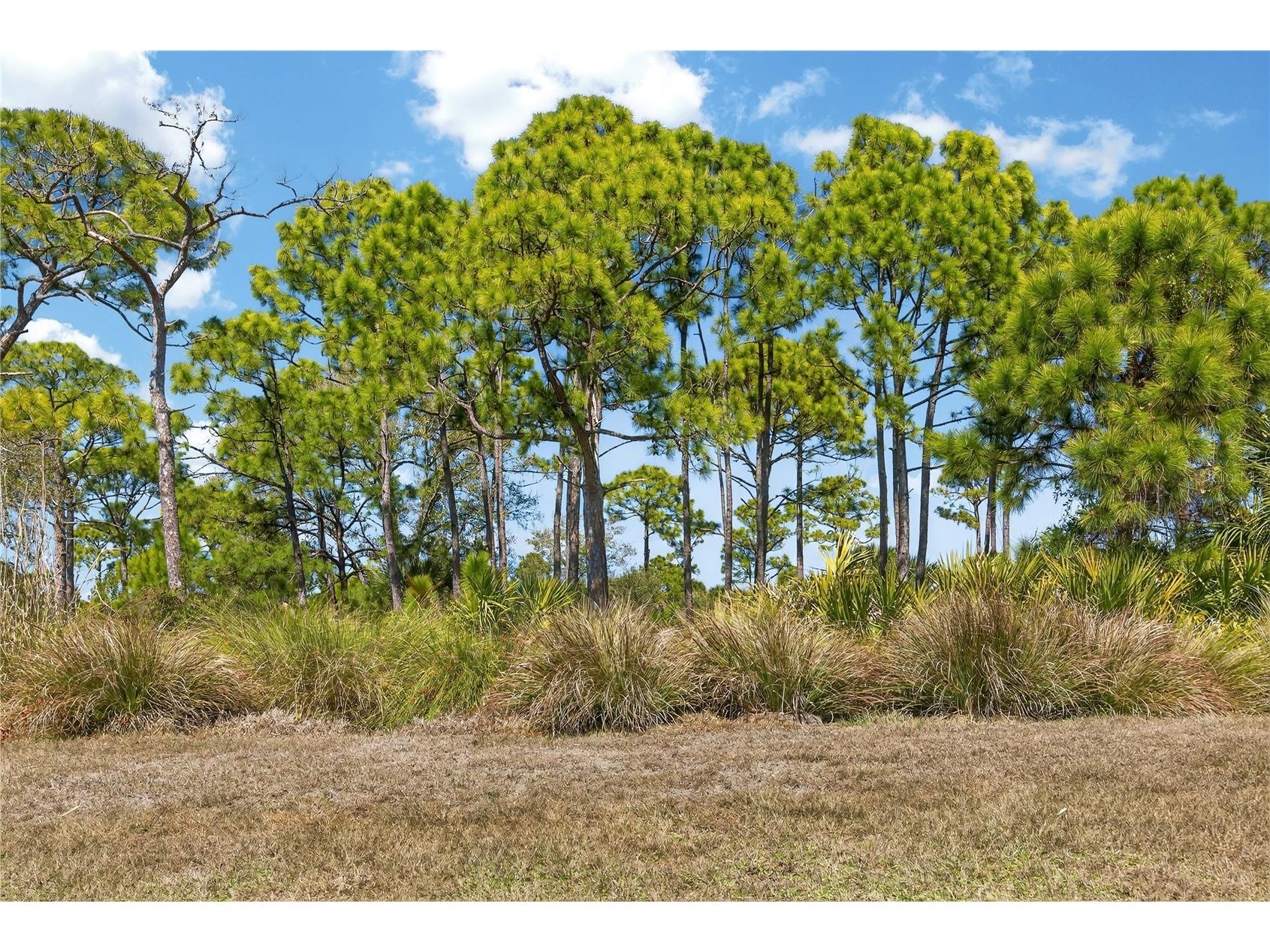 5604 Blue Reef Place Nokomis FL 34275 A4667061 image61