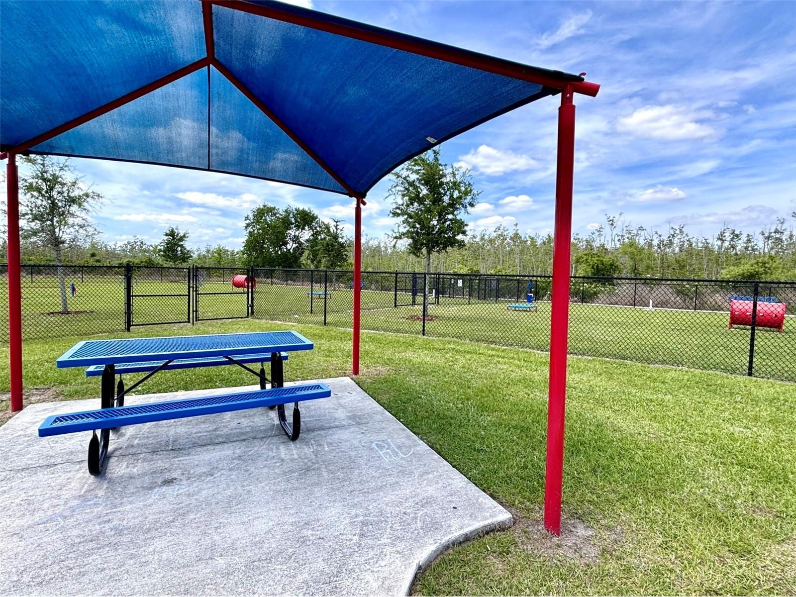 5604 Maddie Drive Haines City FL 33844 O6399855 image28