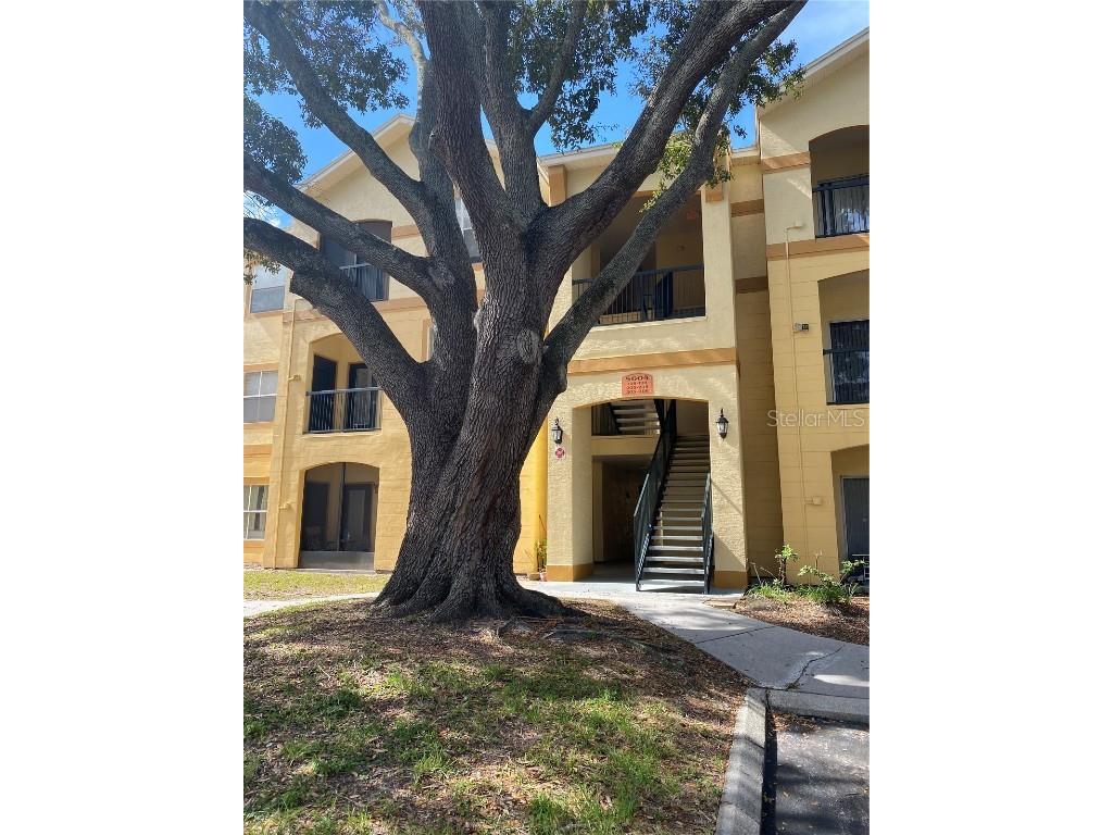 5604 Pinnacle Heights Circle #306 Tampa FL 33624 T3483949 image1