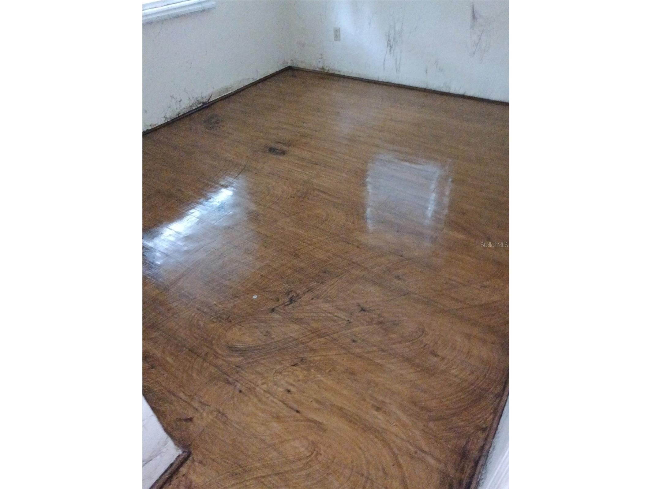 5604 Riverside Drive Yankeetown FL 34498 A4680688 image2