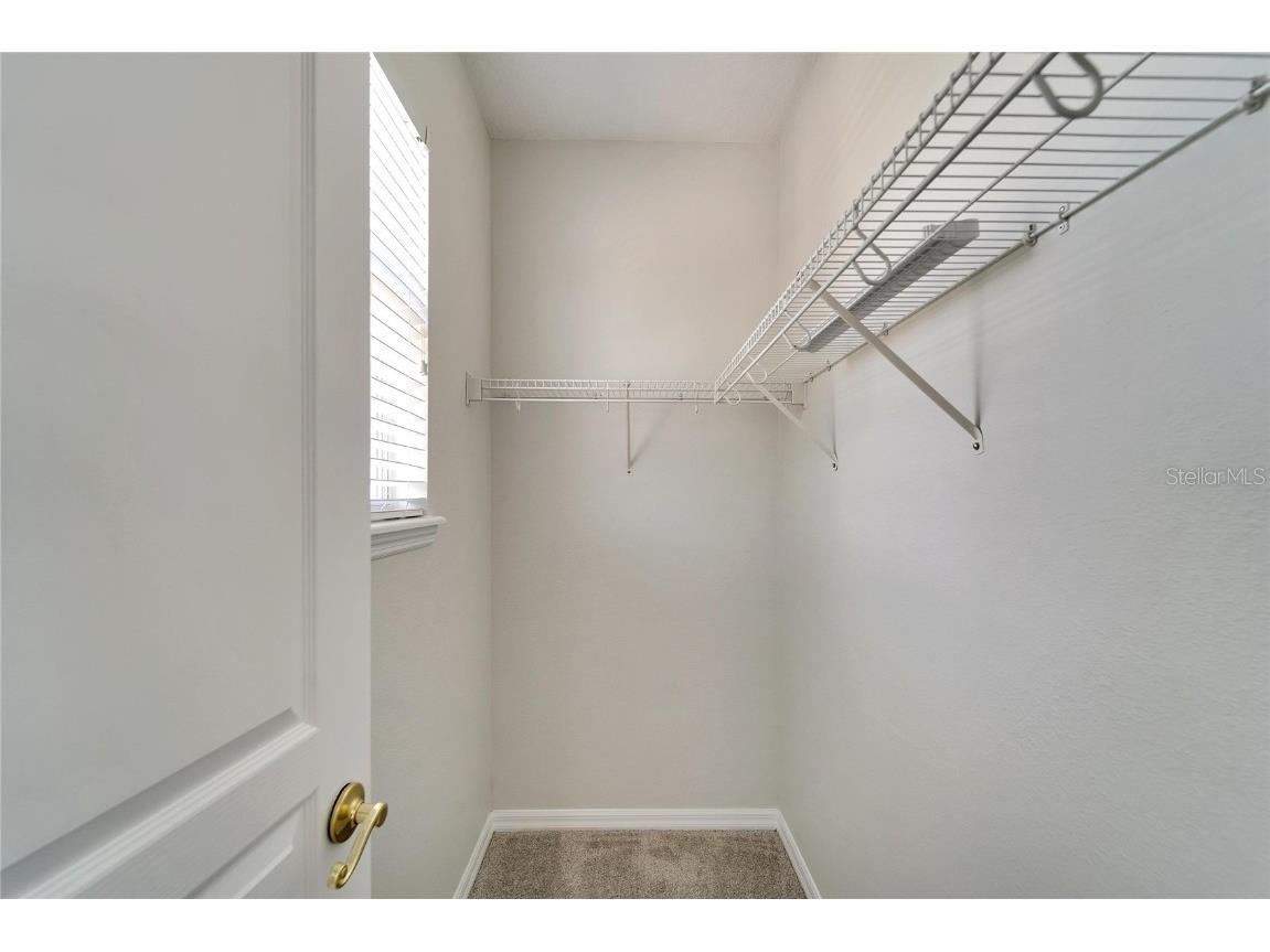 5604 Skimmer Drive Apollo Beach FL 33572 TB8456446 image68