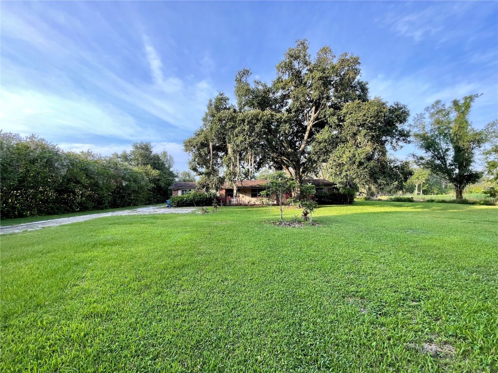 5604 W Us Highway 92 Plant City FL 33566 T3455898 image1