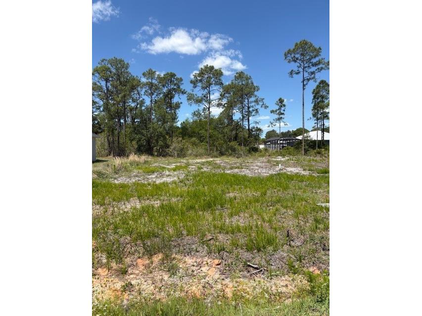 5605 Lakewood Road Sebring FL 33875 L4960271 image2