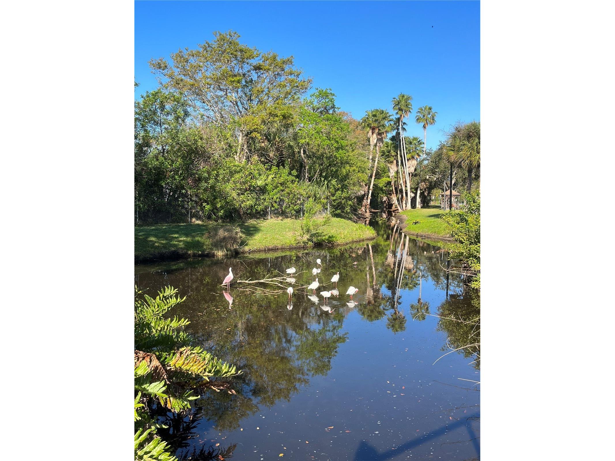 5605 Shore Boulevard S #1B Gulfport FL 33707 - BOCA CEIGA BAY TB8510709 image45