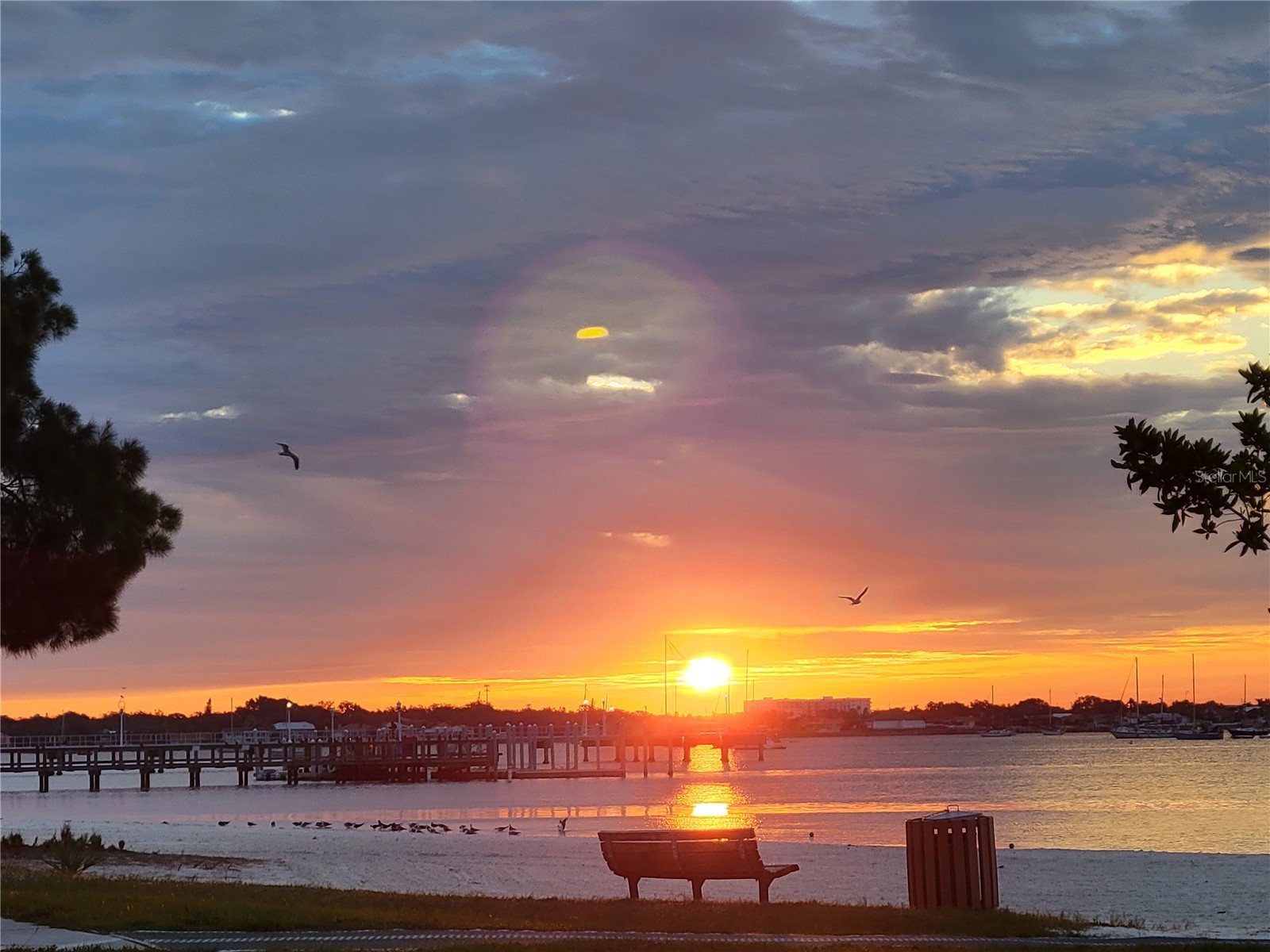 5605 Shore Boulevard S #1B Gulfport FL 33707 - BOCA CEIGA BAY TB8510709 image46