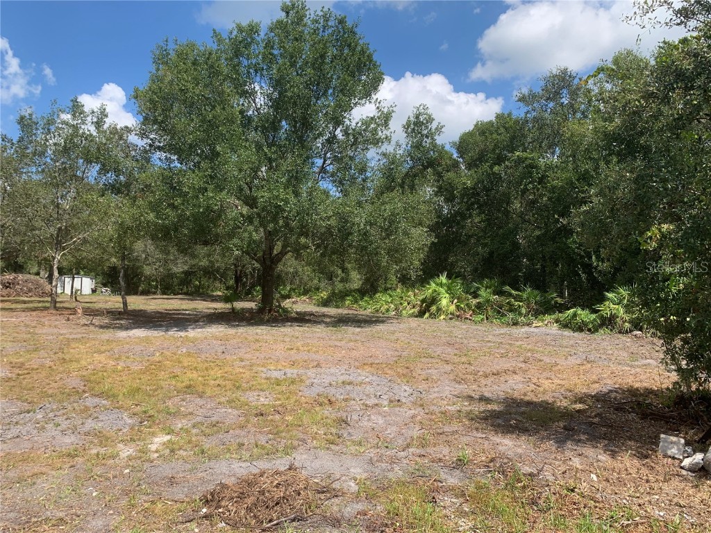 5605 SW Highway 17 Arcadia FL 34266 C7479110 image1