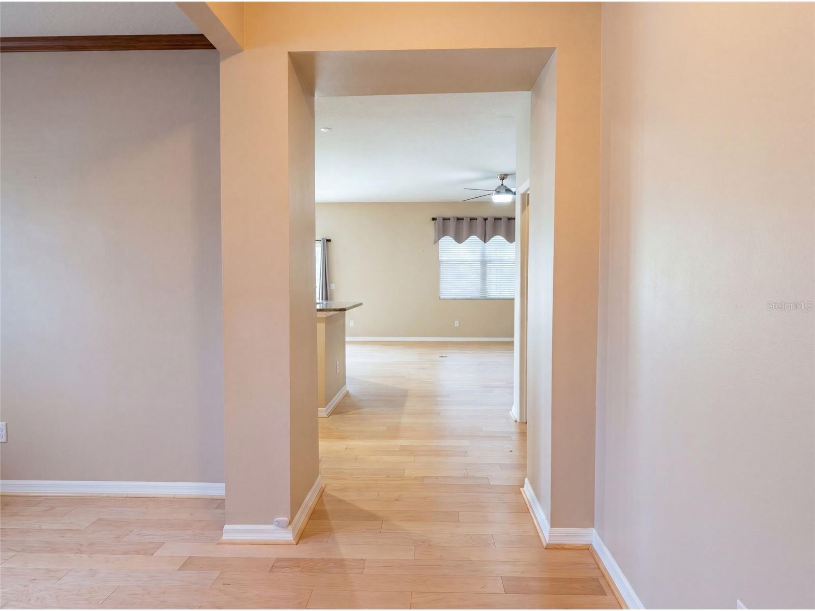 5605 Windsong Oak Drive Leesburg FL 34748 O6418852 image9
