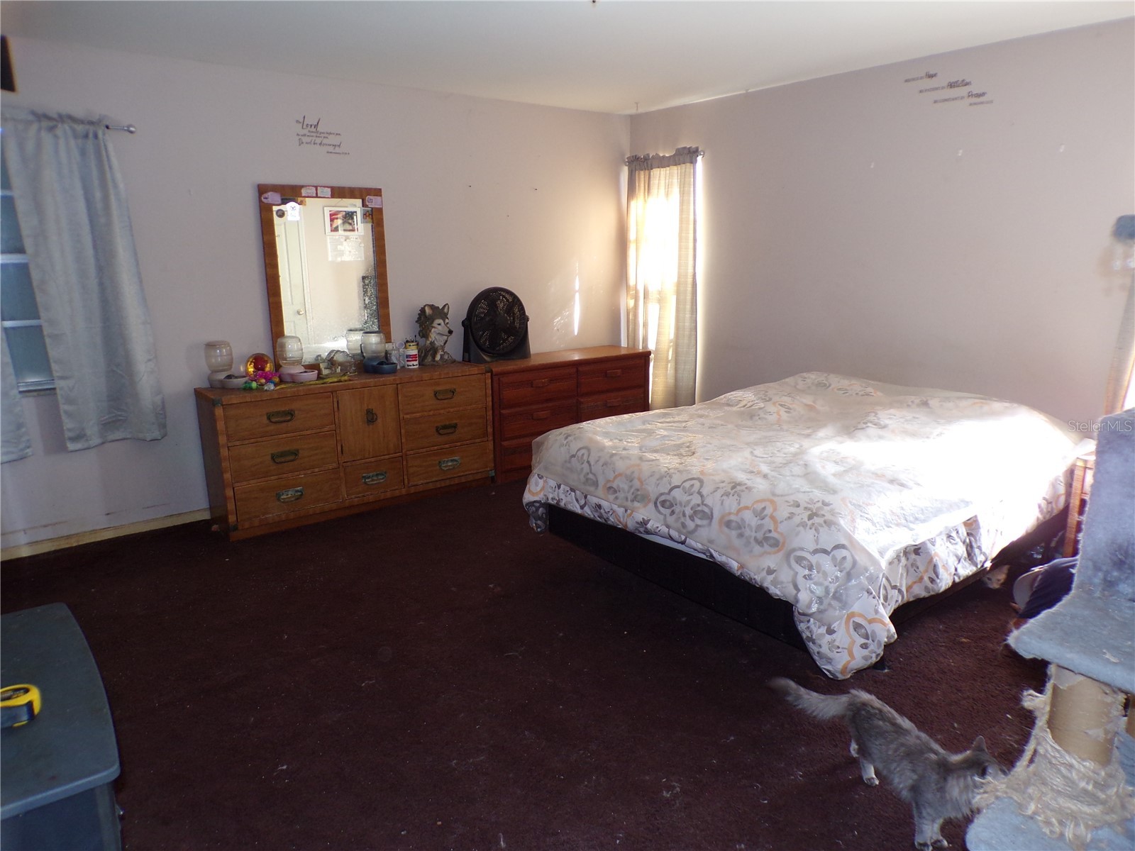 5606 87th Avenue N Pinellas Park FL 33782 TB8516218 image13